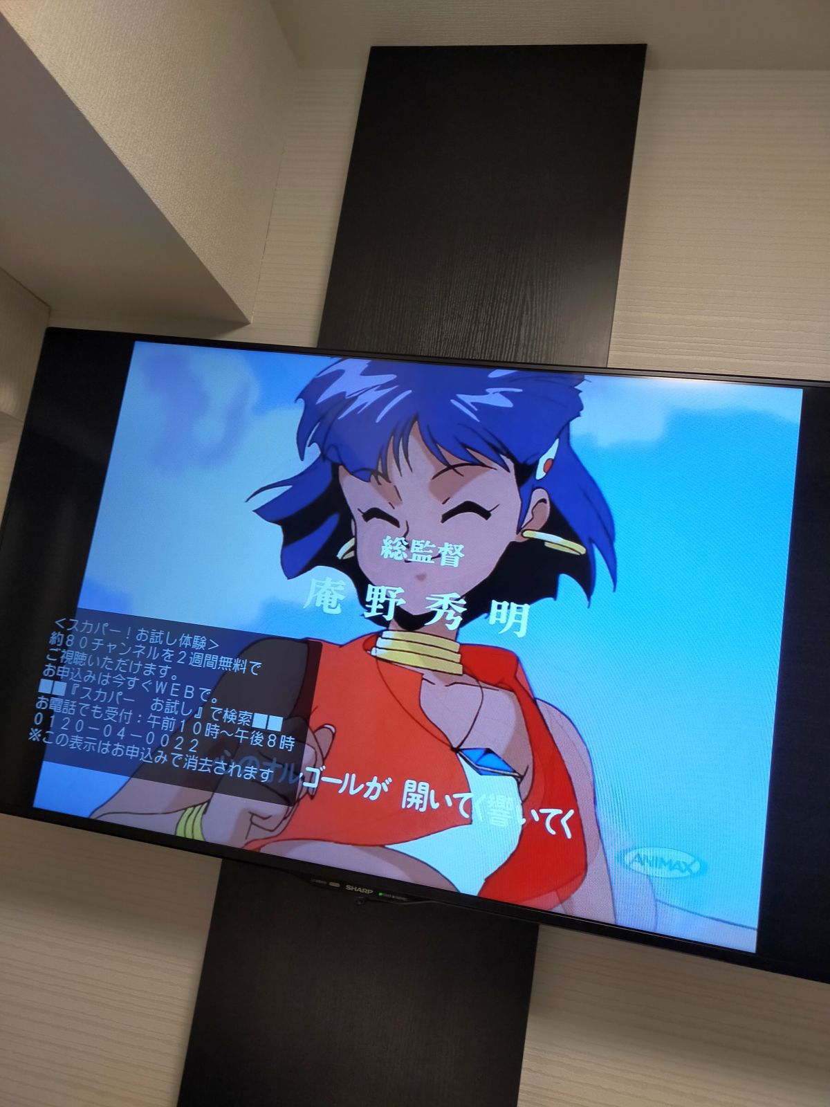 総監督