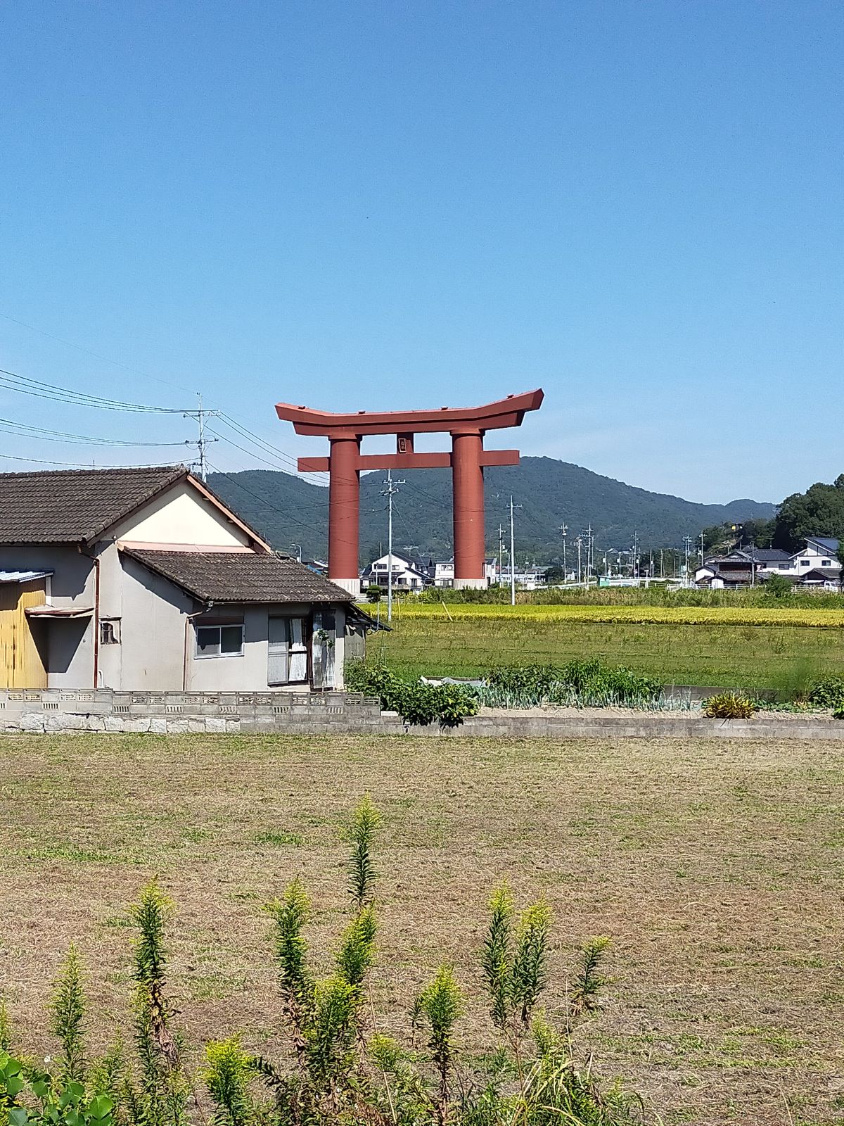 大鳥居