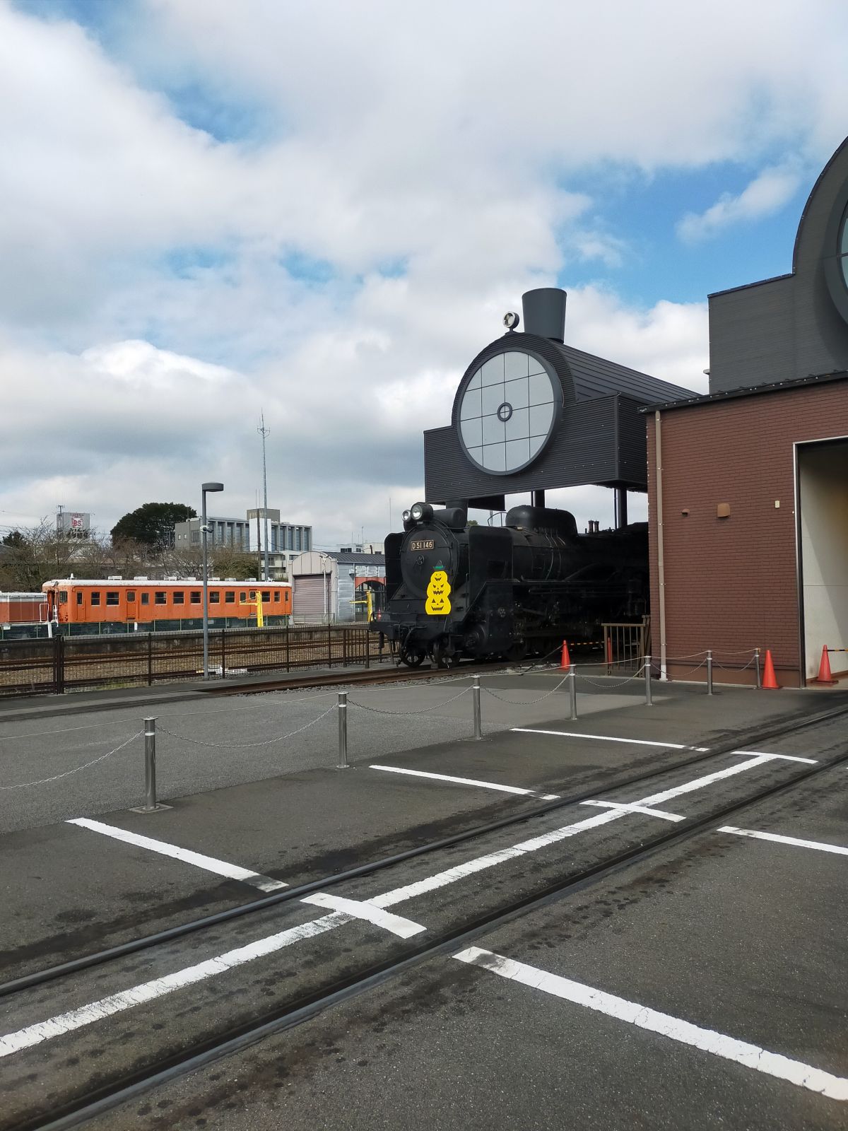 D51146