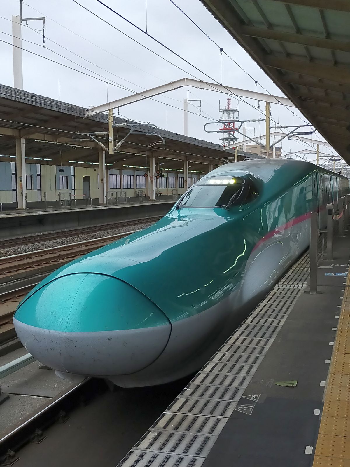 本日の車両