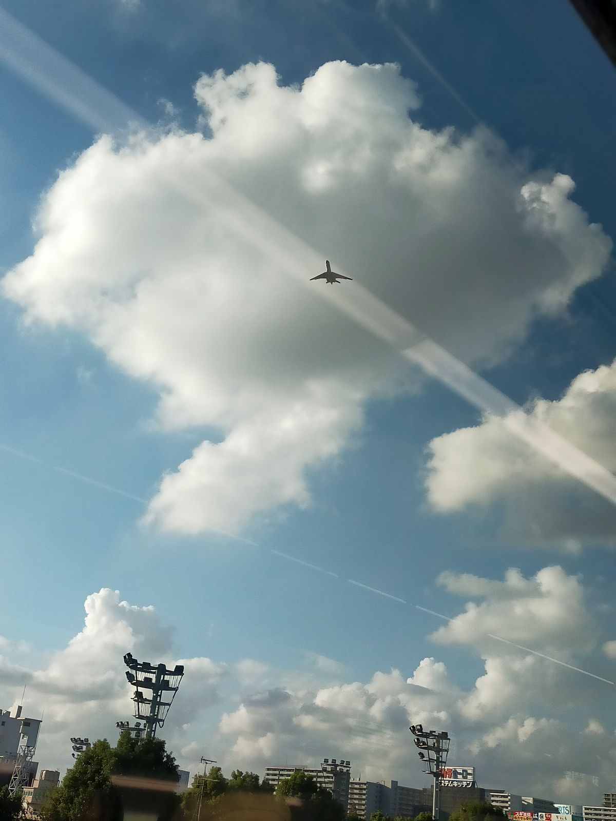 下から見る飛行機