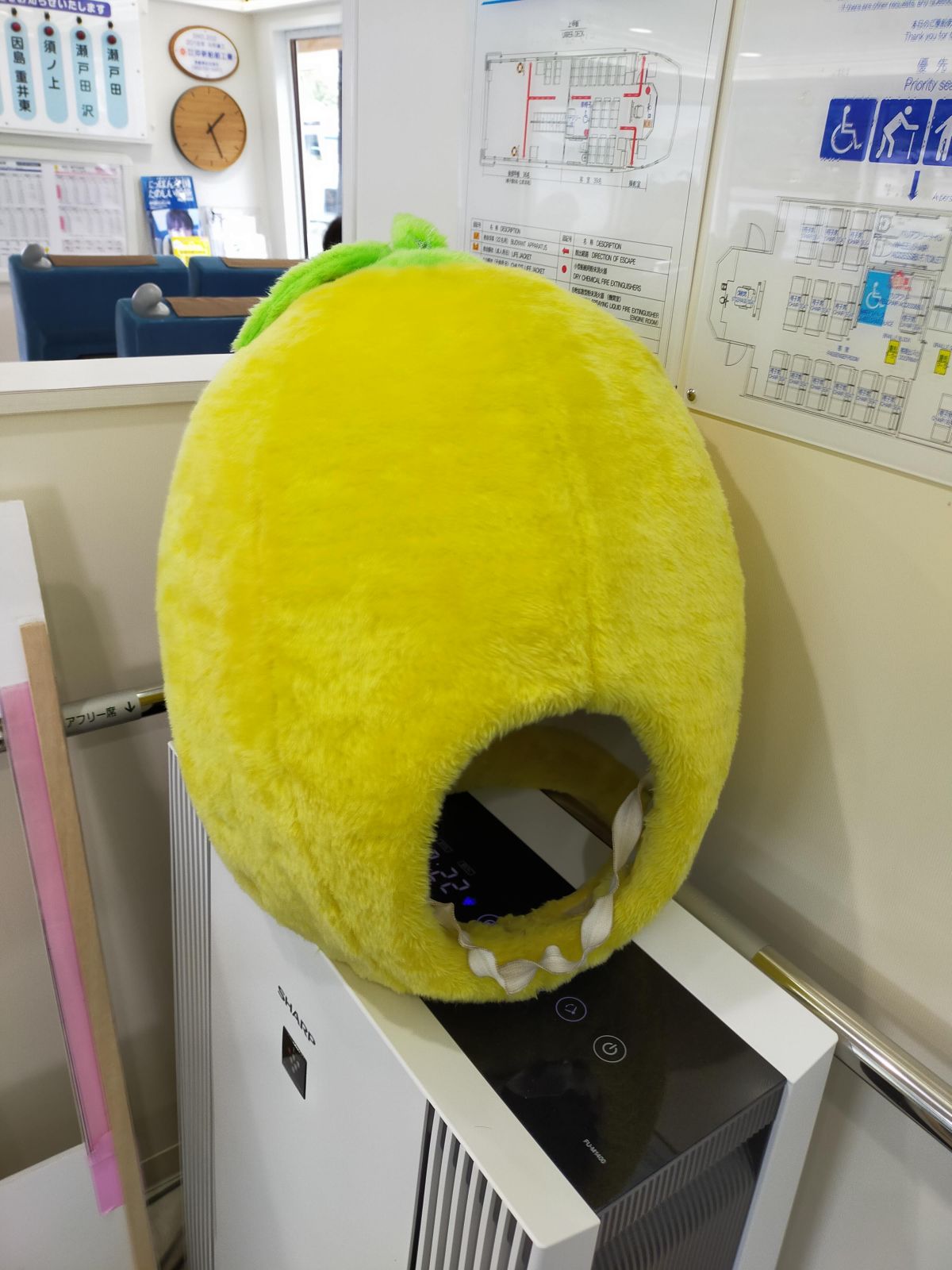 レモンの被り物