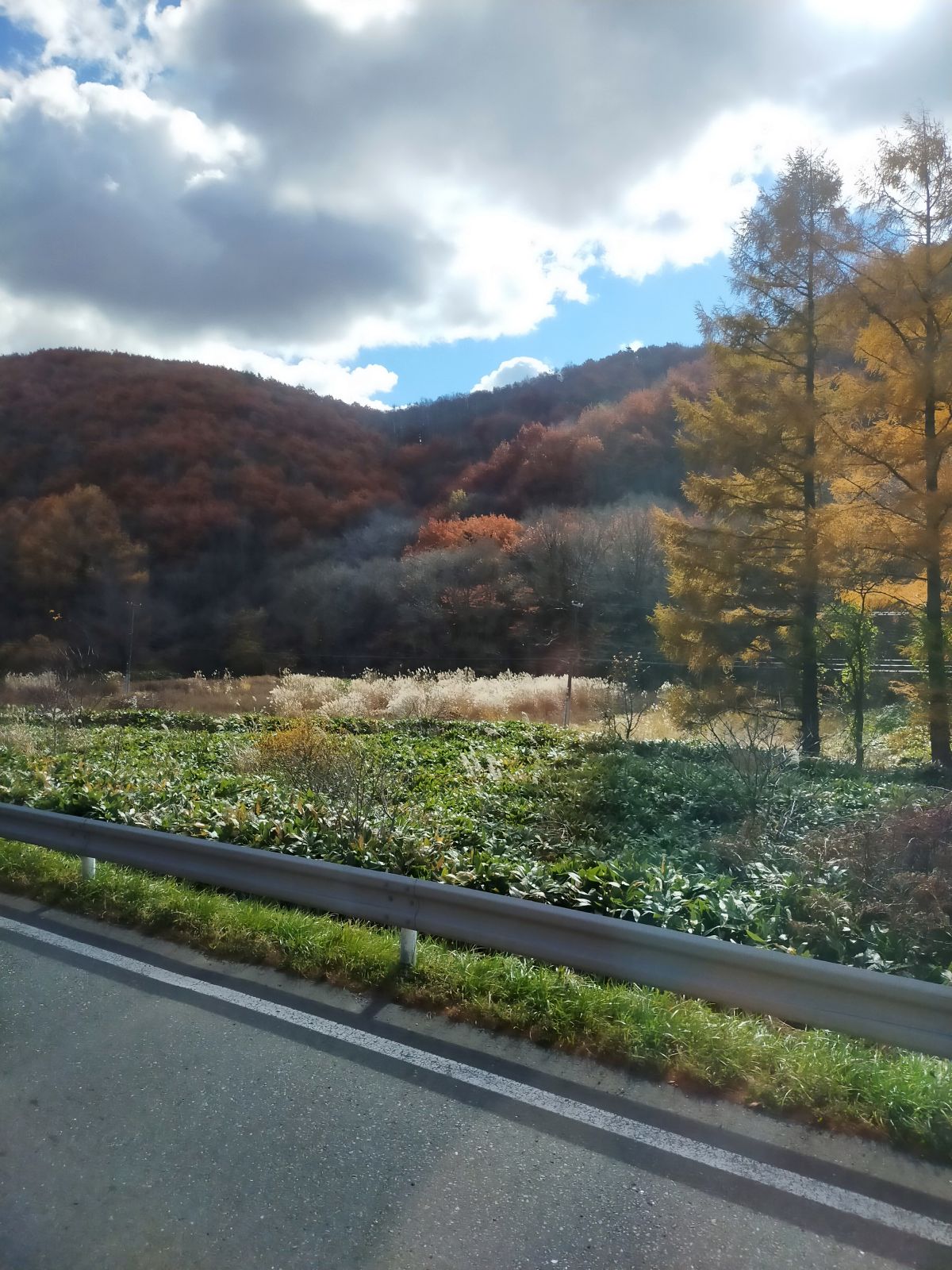 外の風景