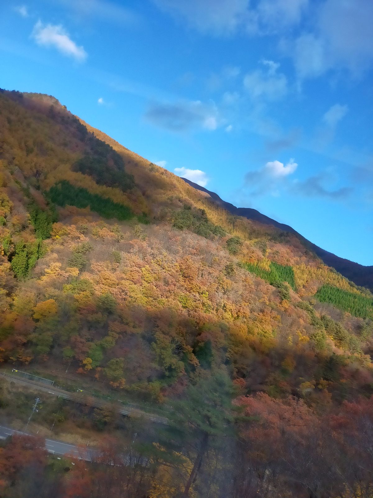 山の紅葉