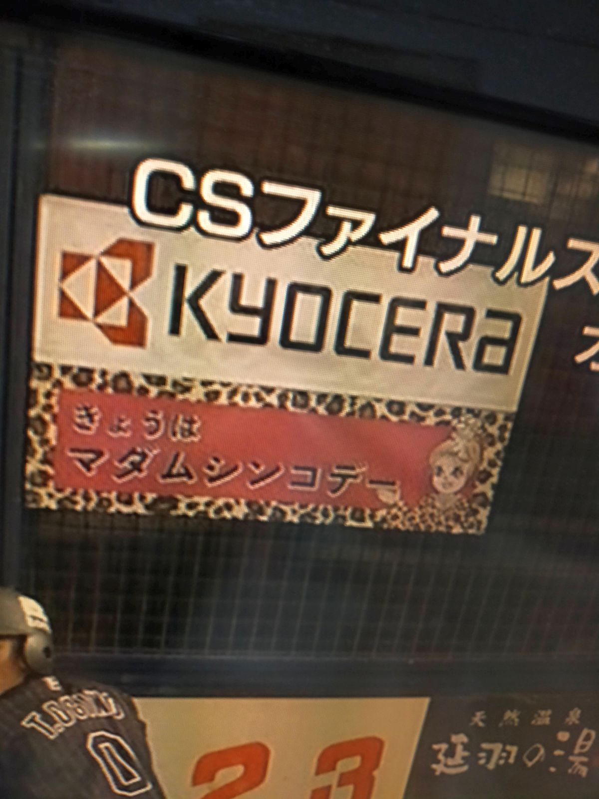 今日はマダムシンコデー