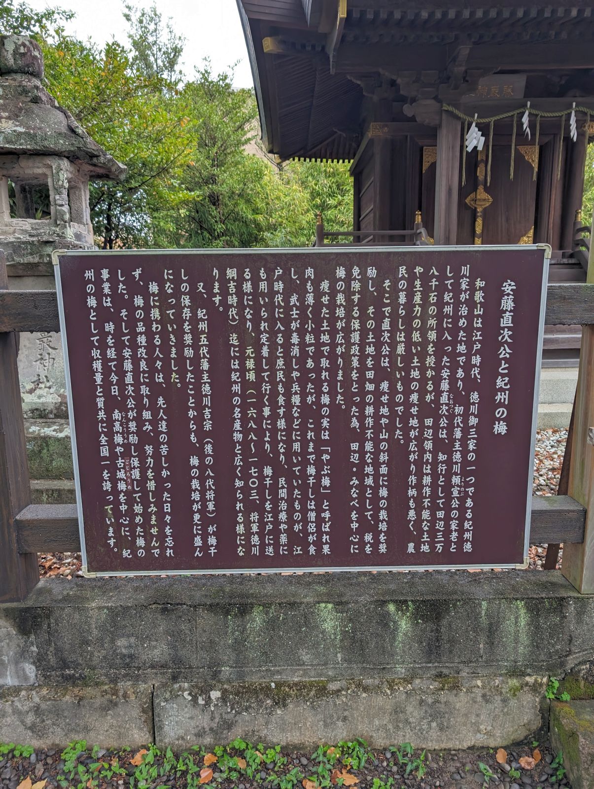 安藤直次公と紀州の梅