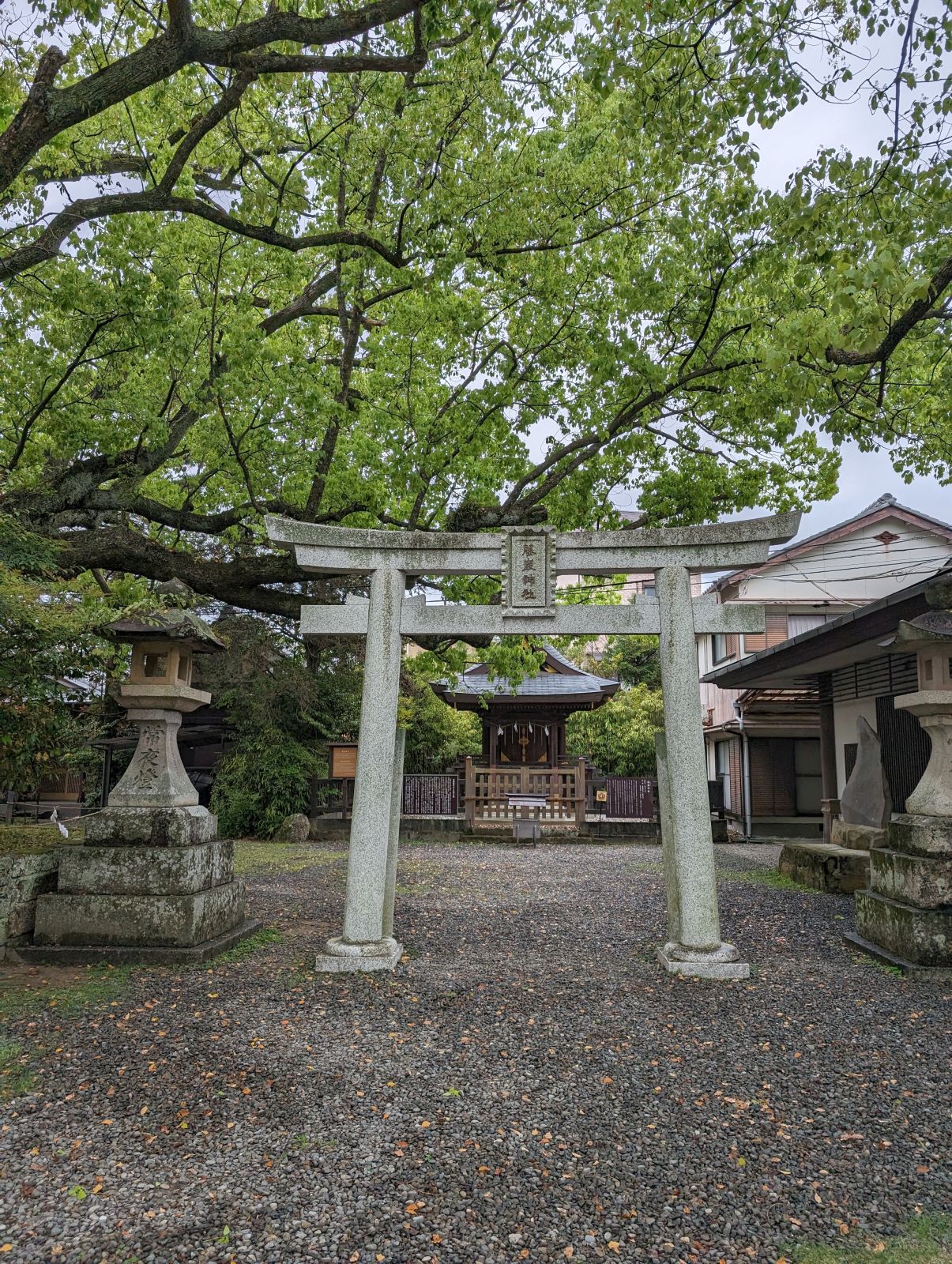 藤厳神社の石鳥居