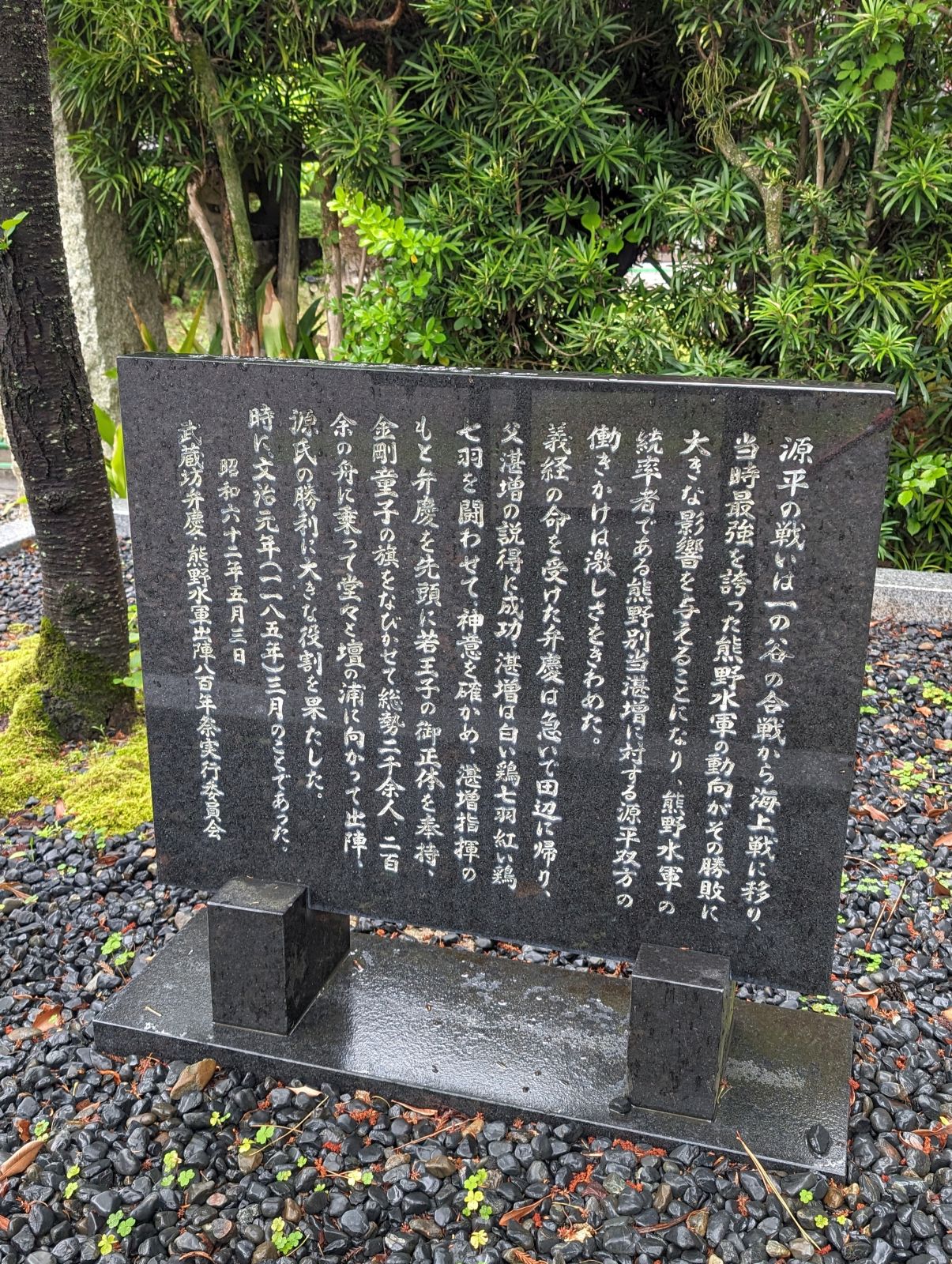 湛増