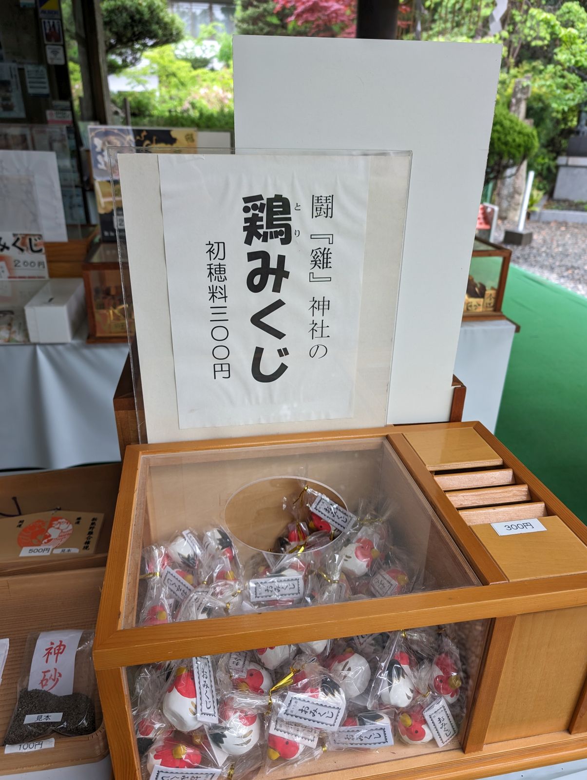 鶏みくじ