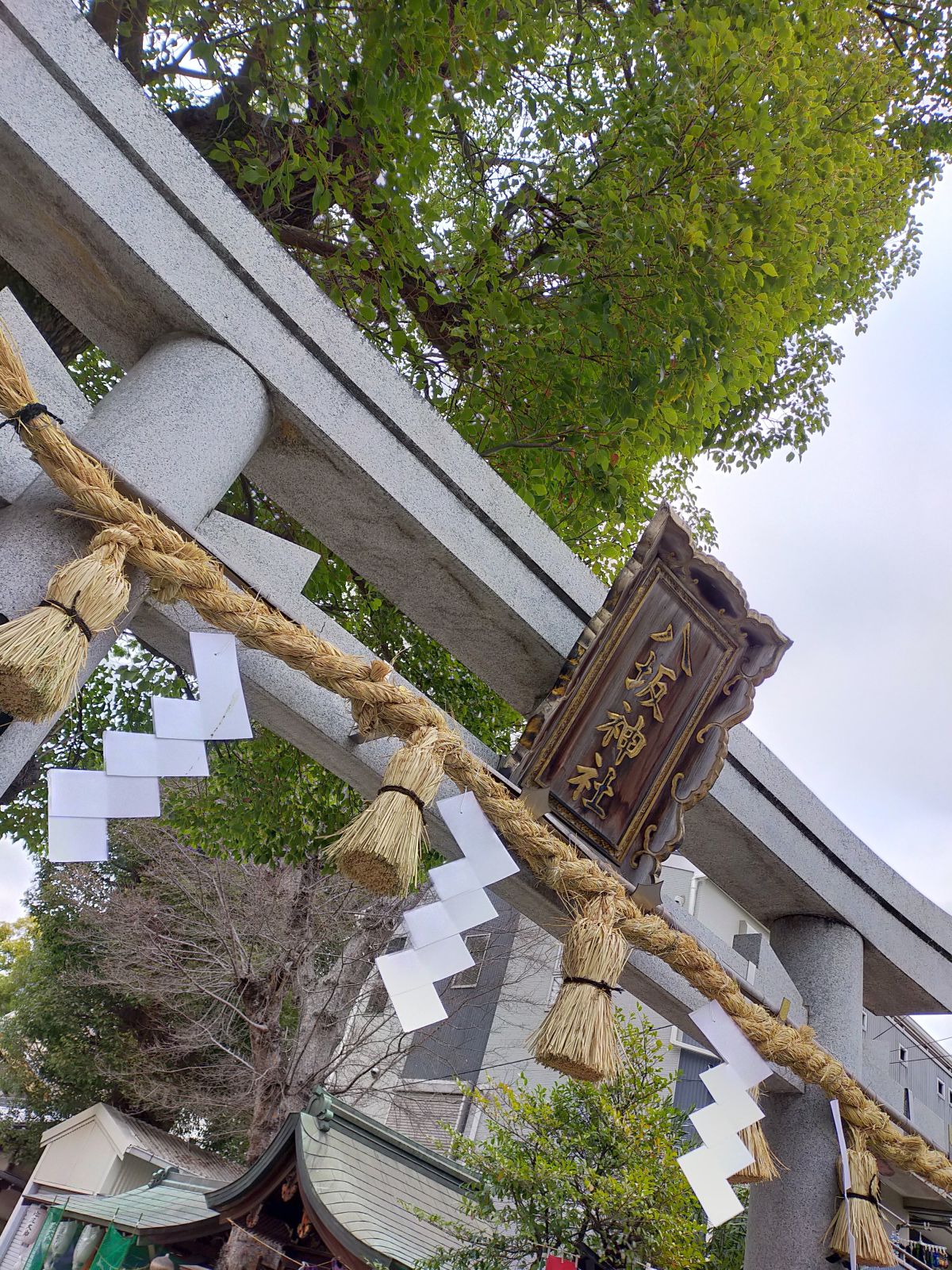 神社のハシゴ