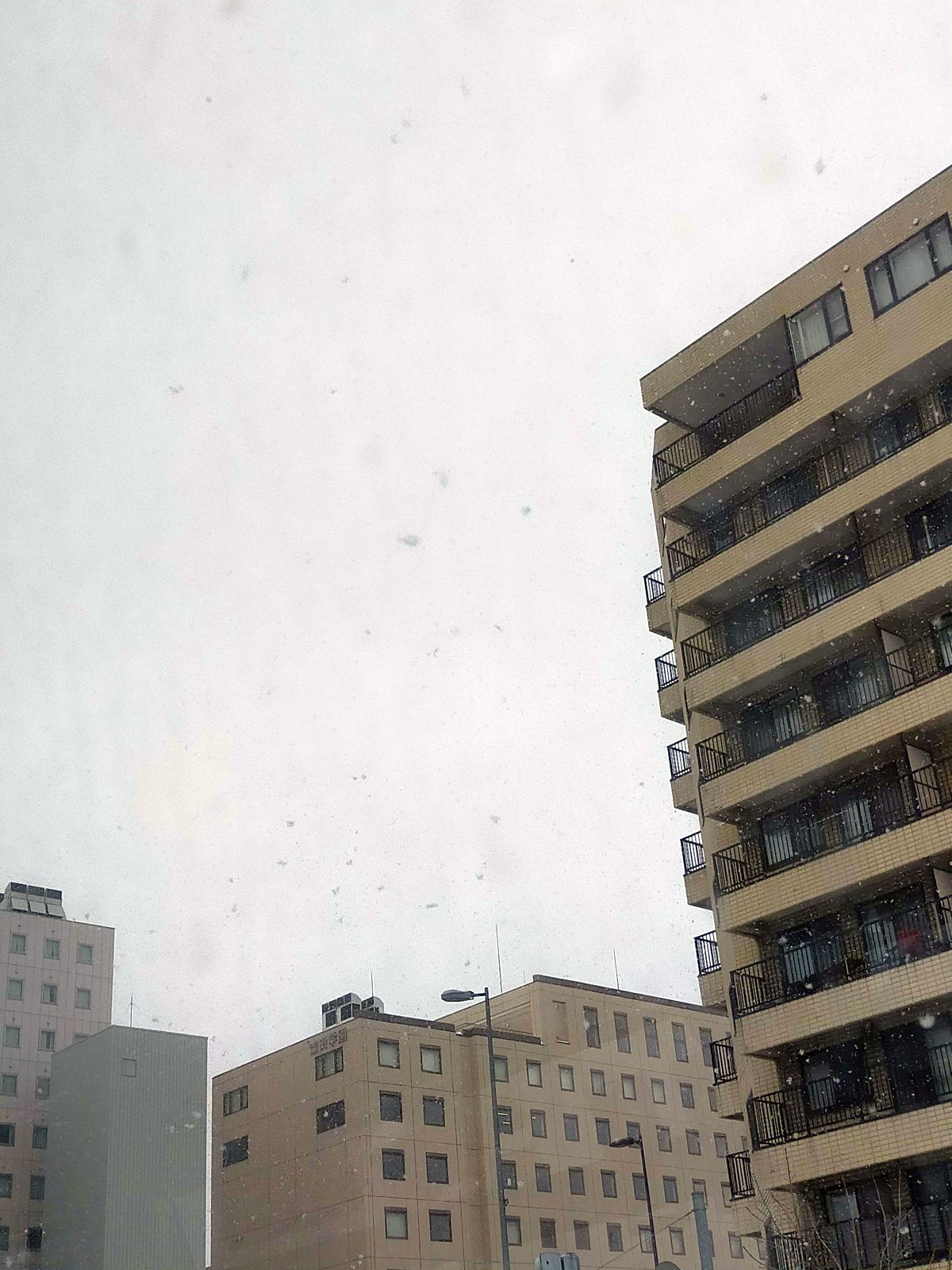 降雪