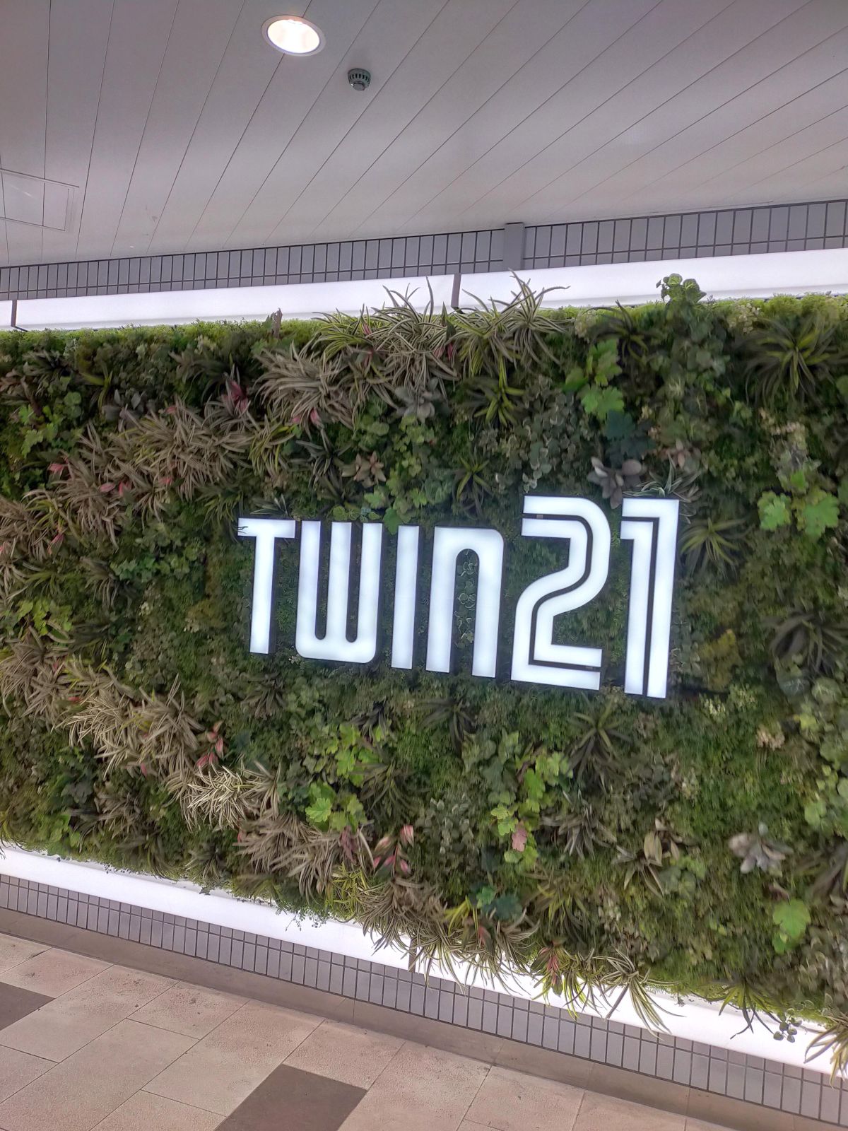 TWIN21