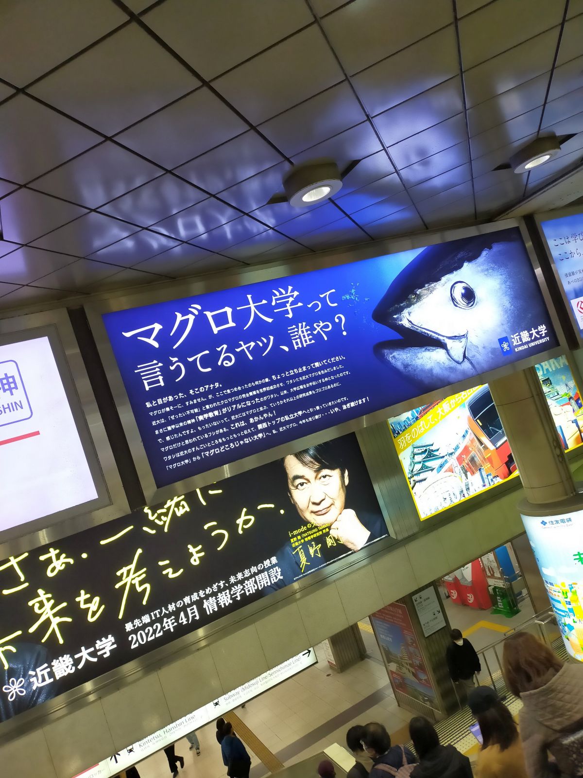 マグロ大学