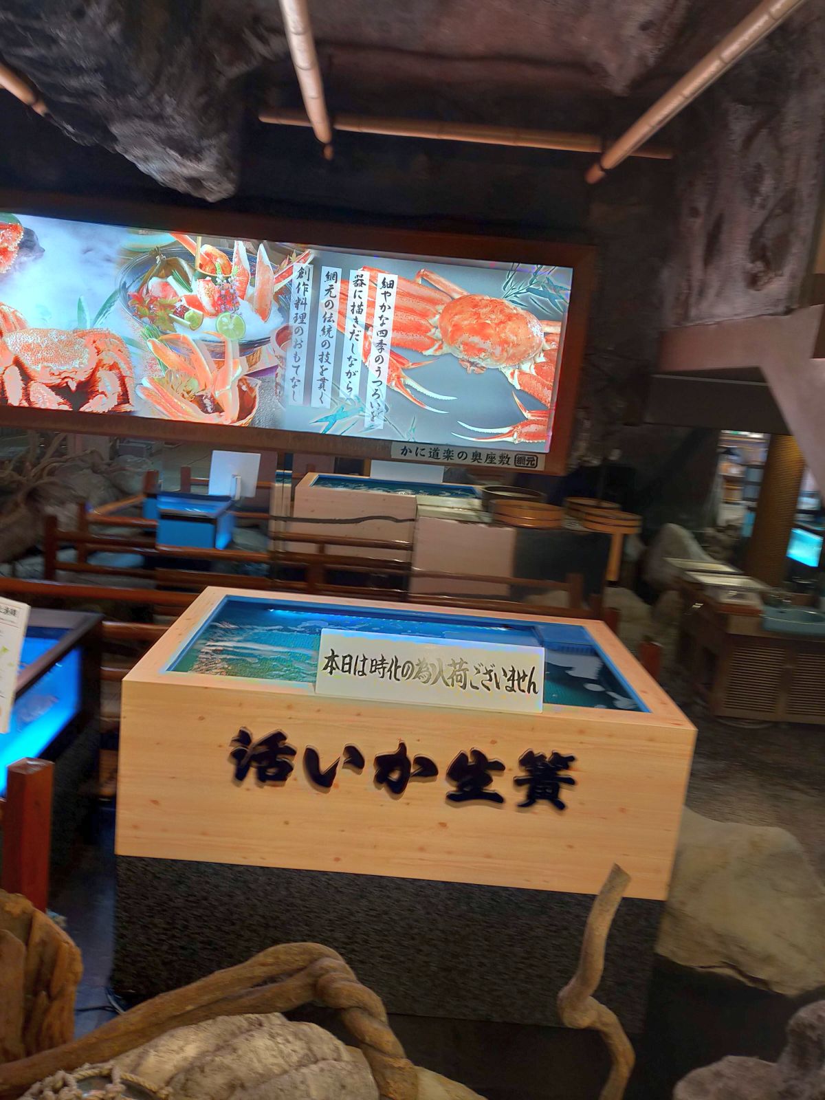 活いか生簀