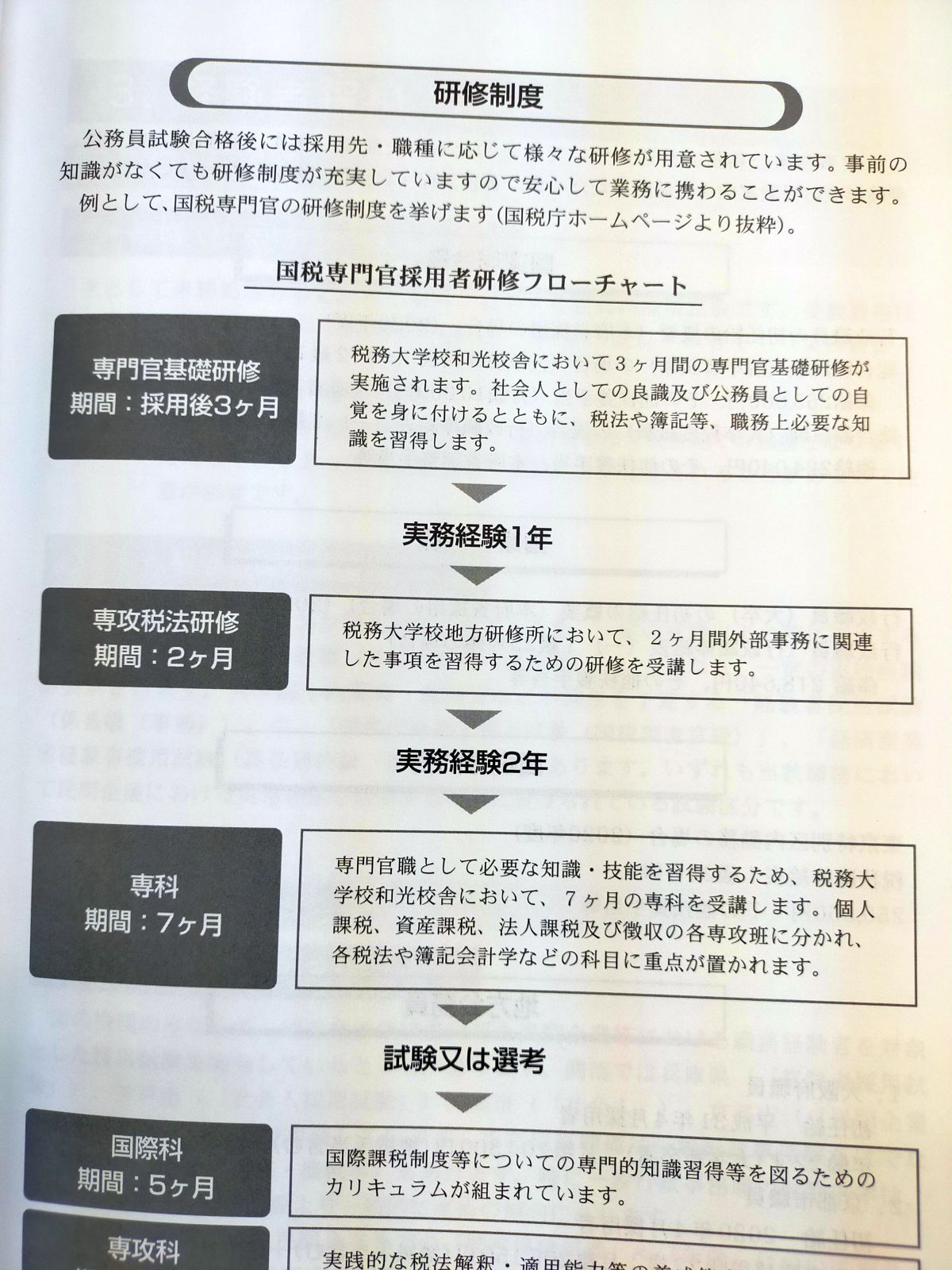 国税専門官の研修制度