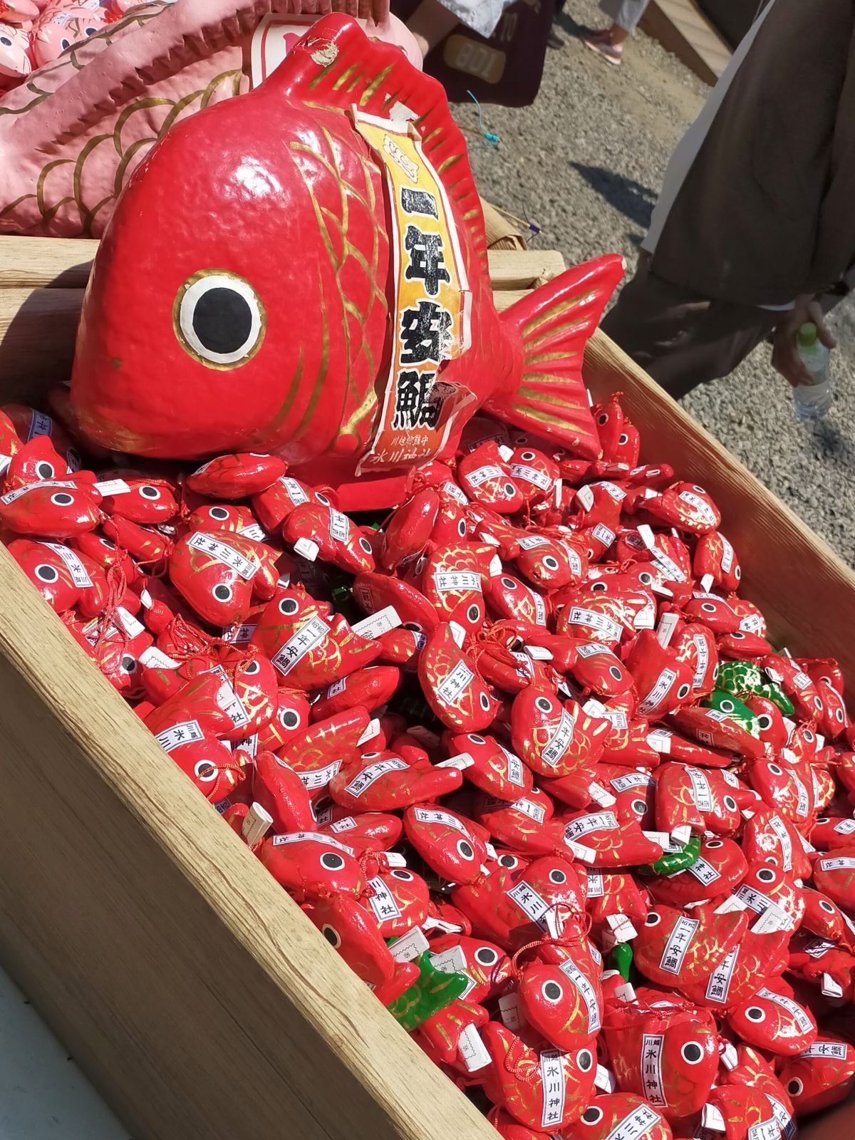 鯛みくじ