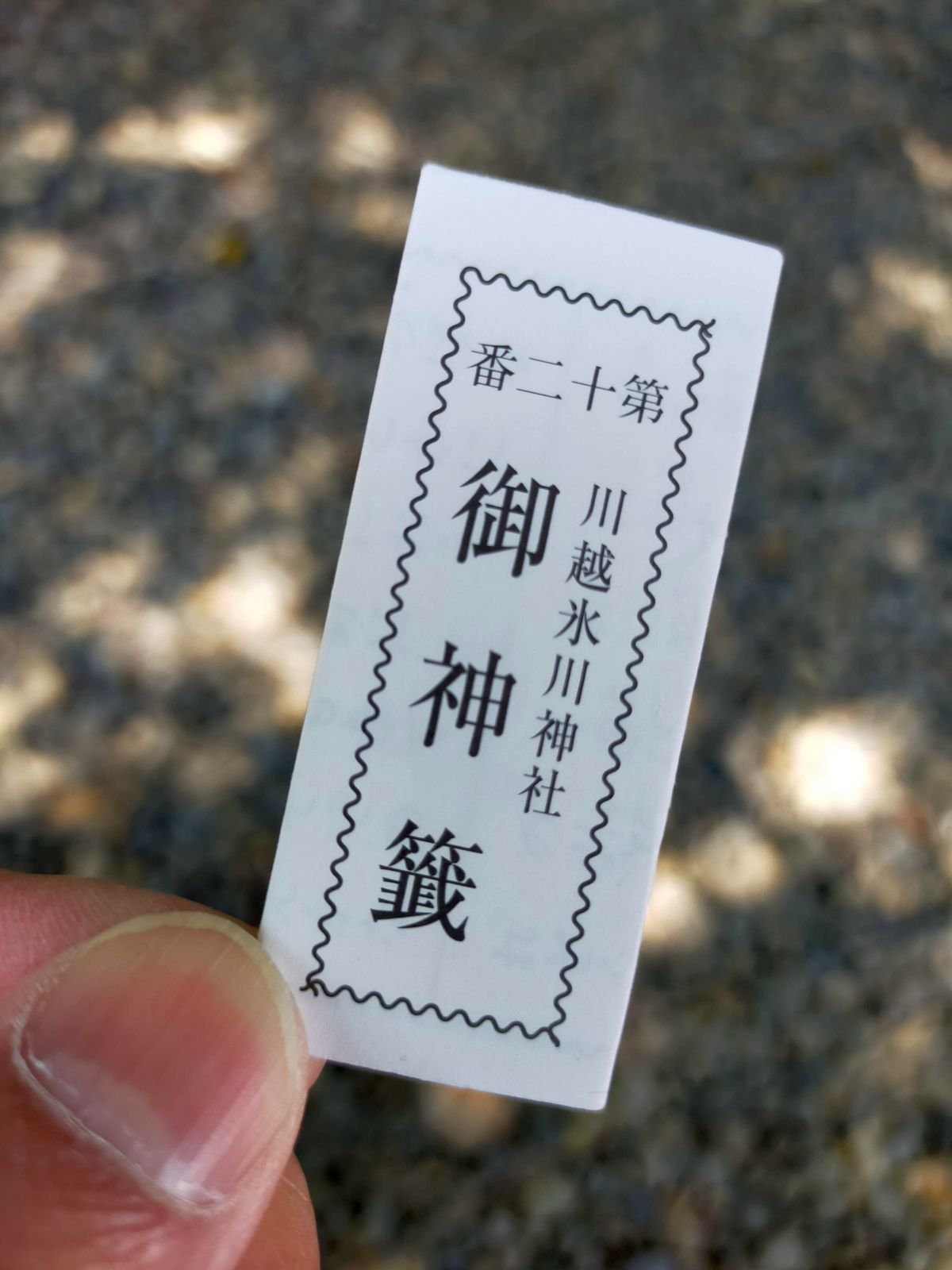 本日のおみくじ