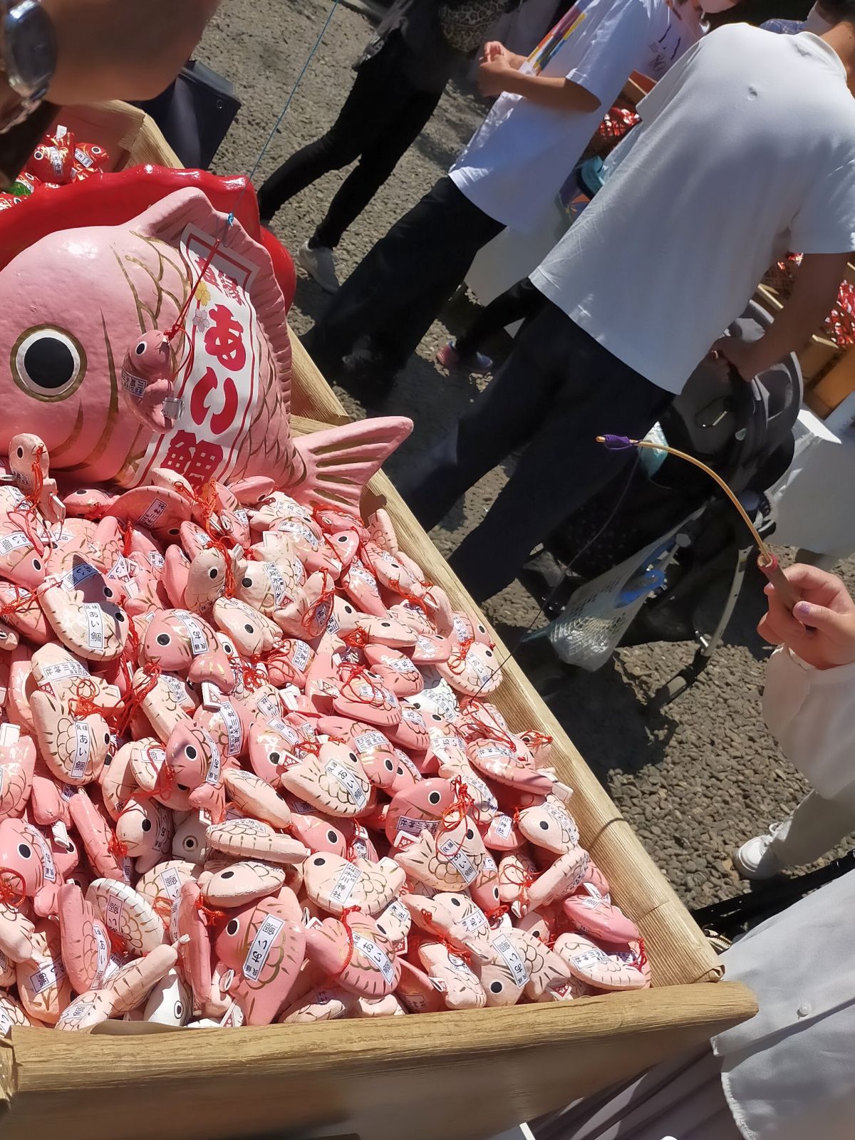 鯛を釣る