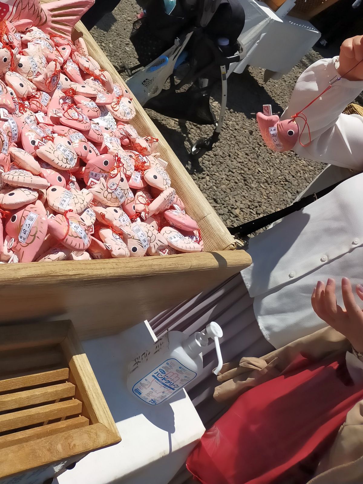 釣った鯛
