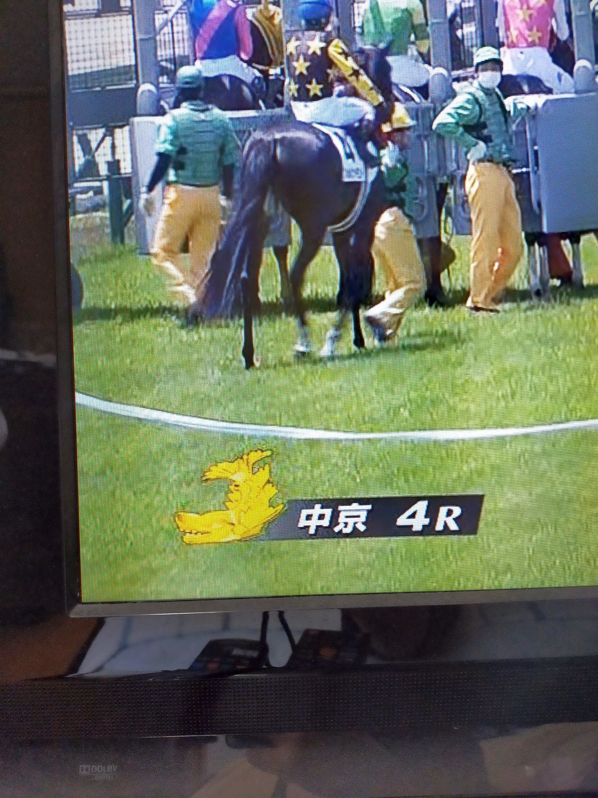 中京競馬場