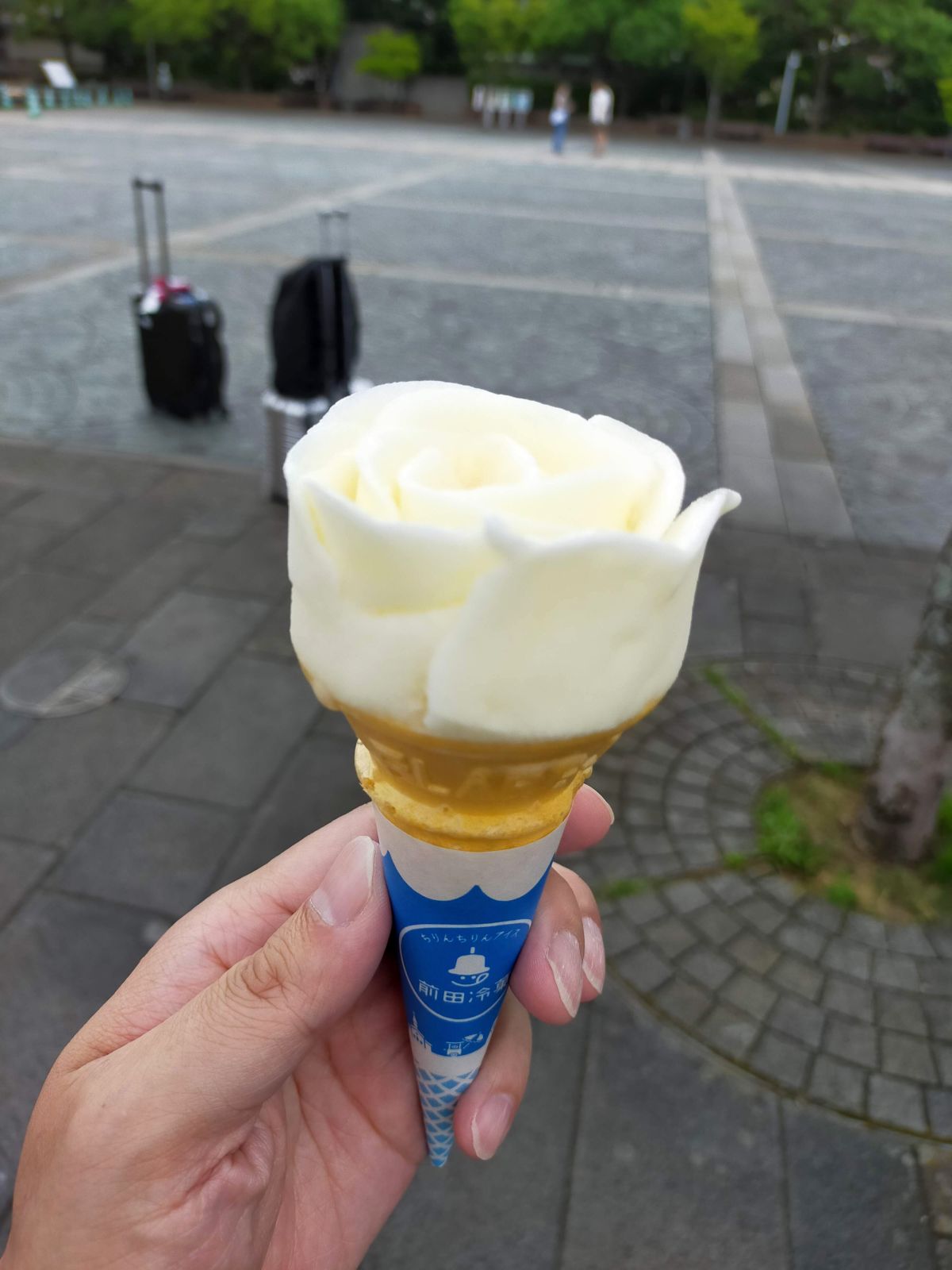 本日のおやつ