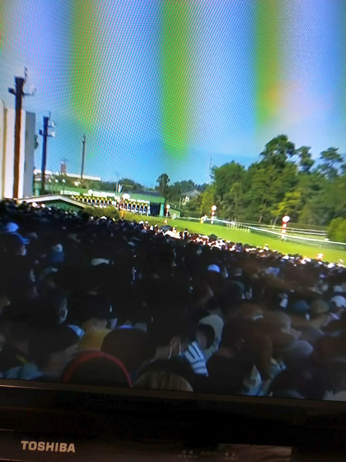 本日の新潟競馬場