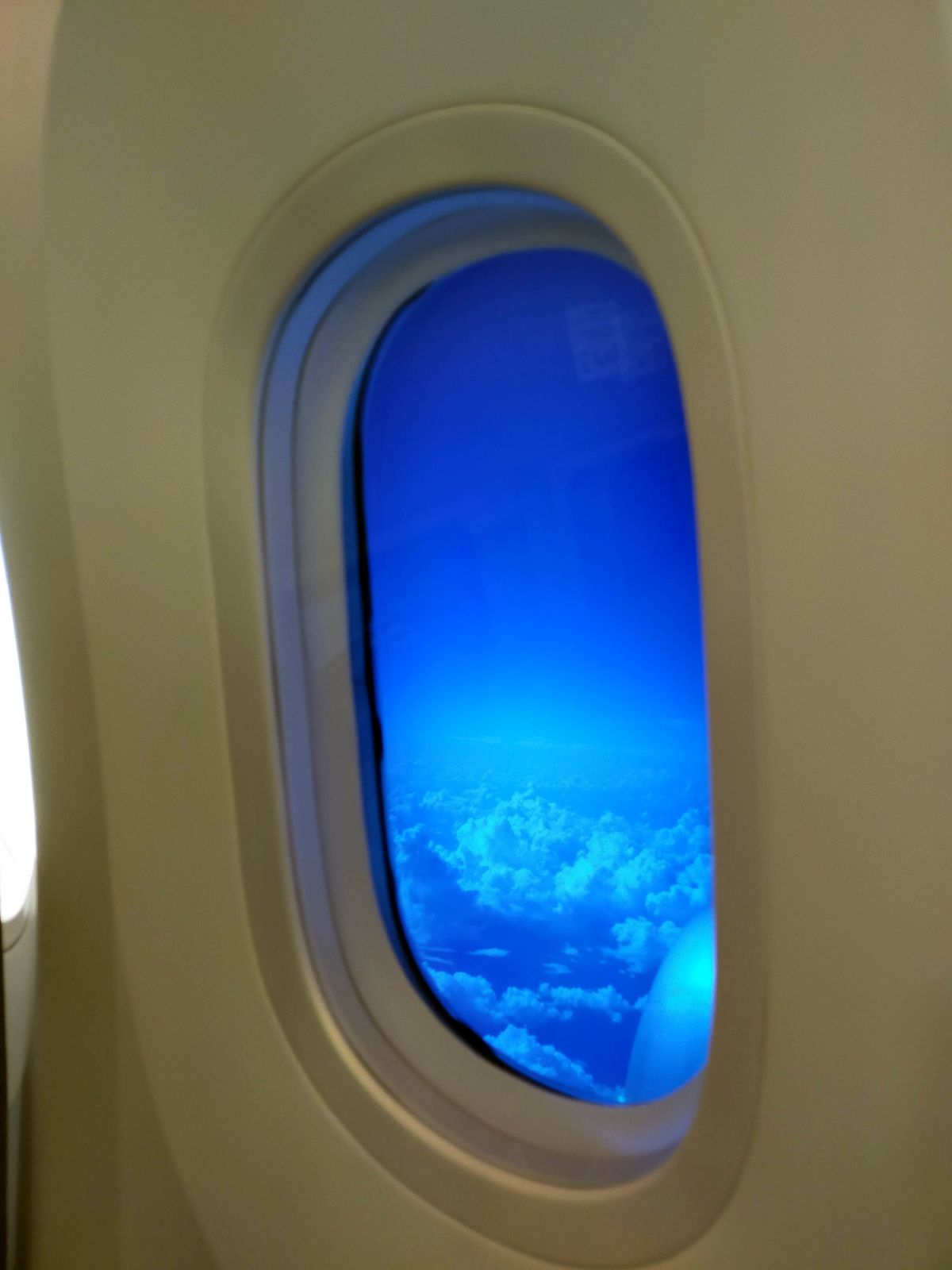 窓の青