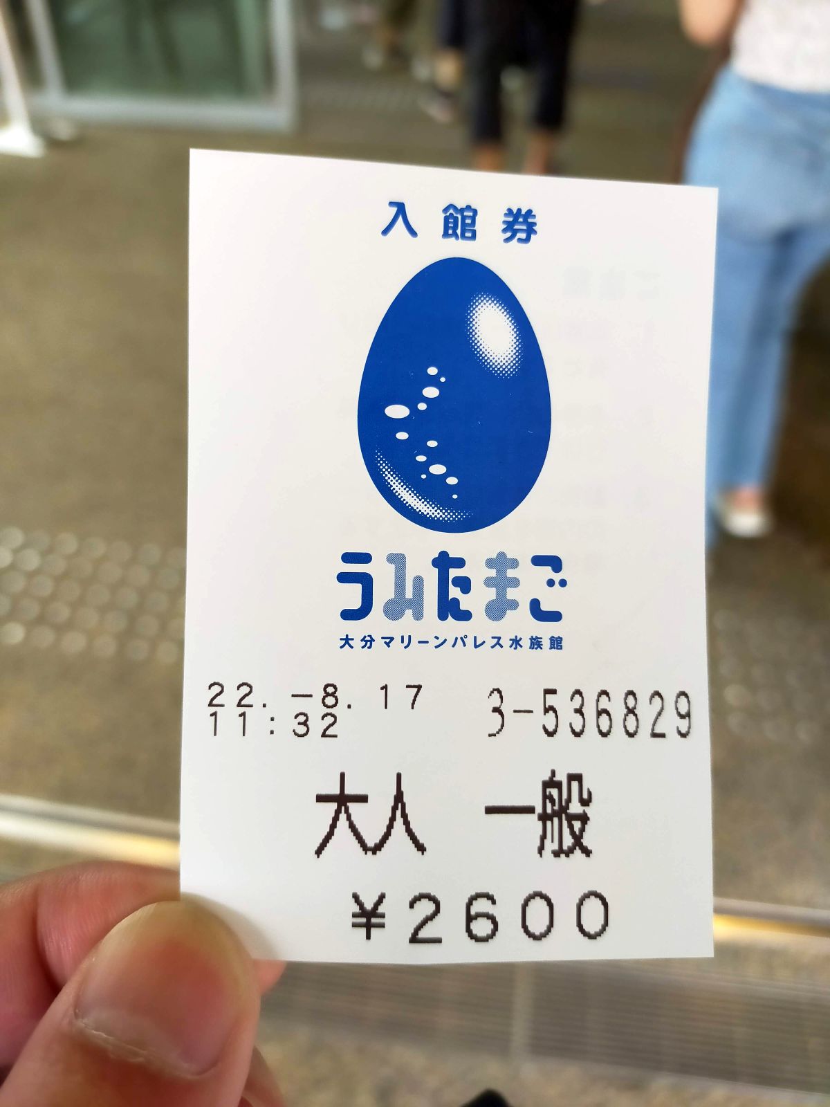 入館券