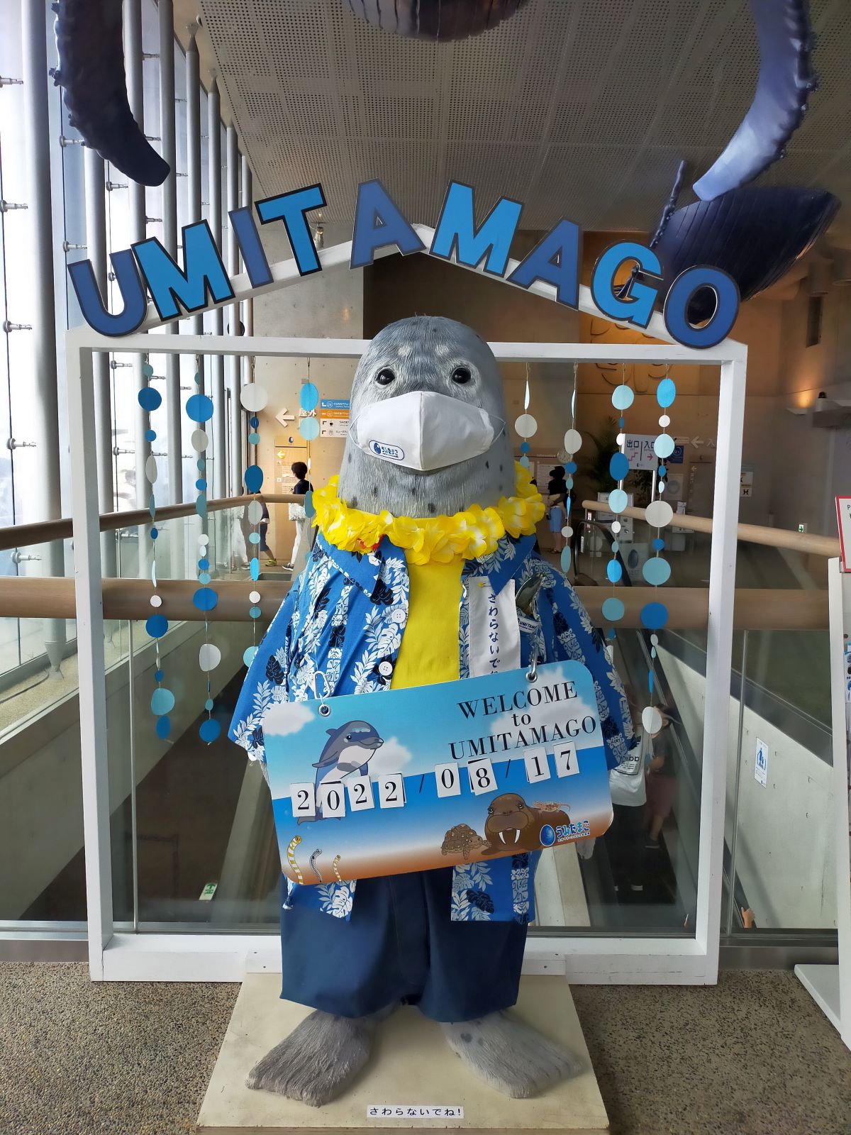 WELCOME to UMITAMAGO