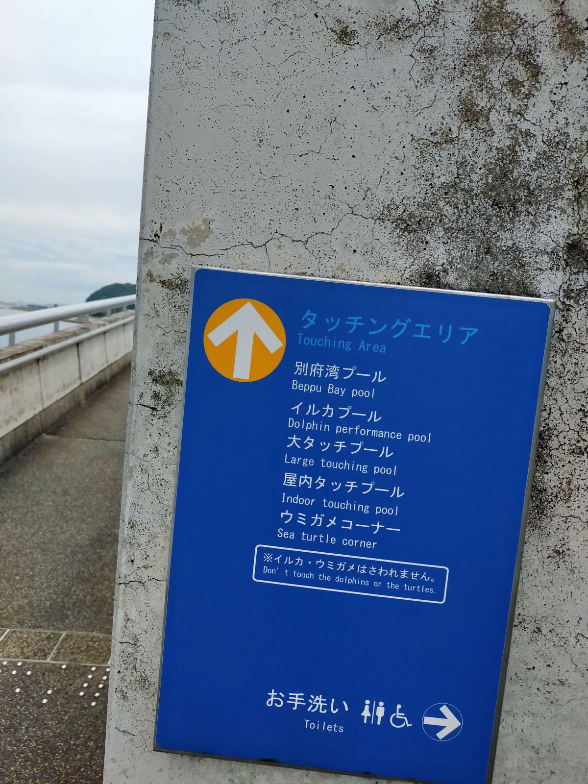 タッチングエリア
