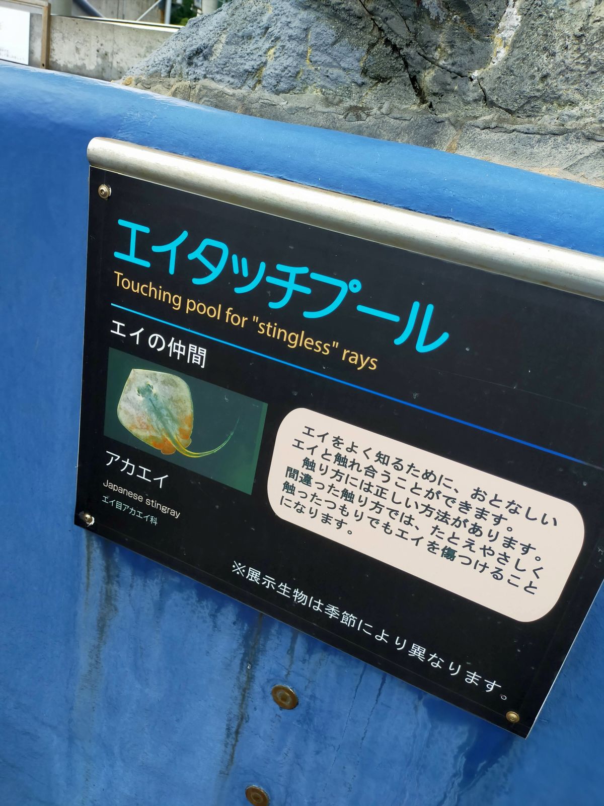 エイタッチプール