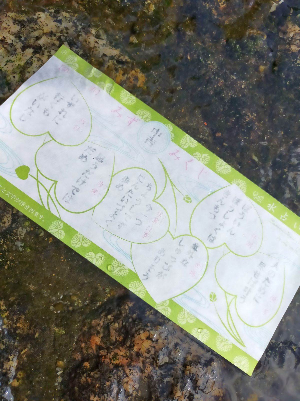 本日のおみくじ
