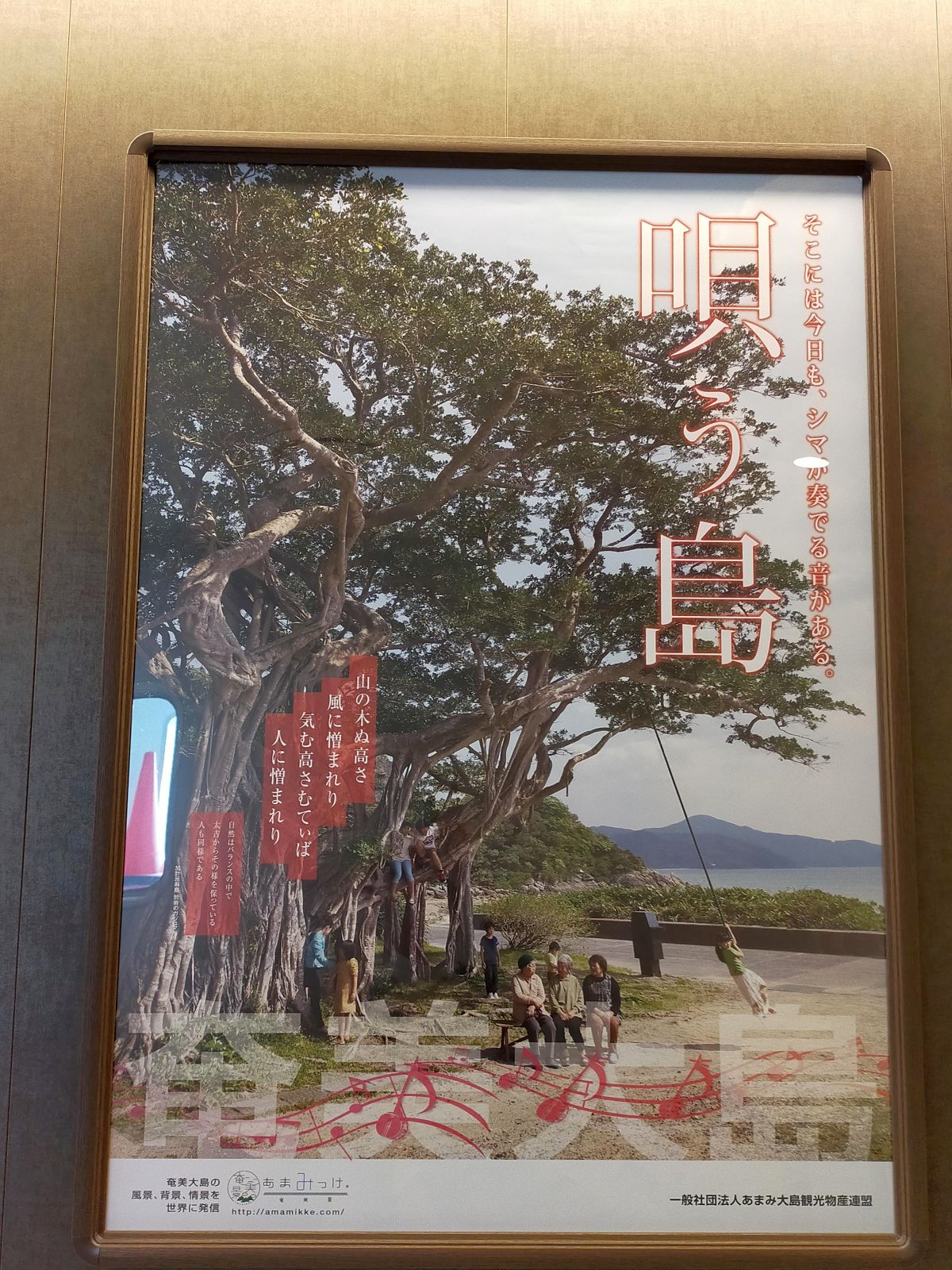 唄う島