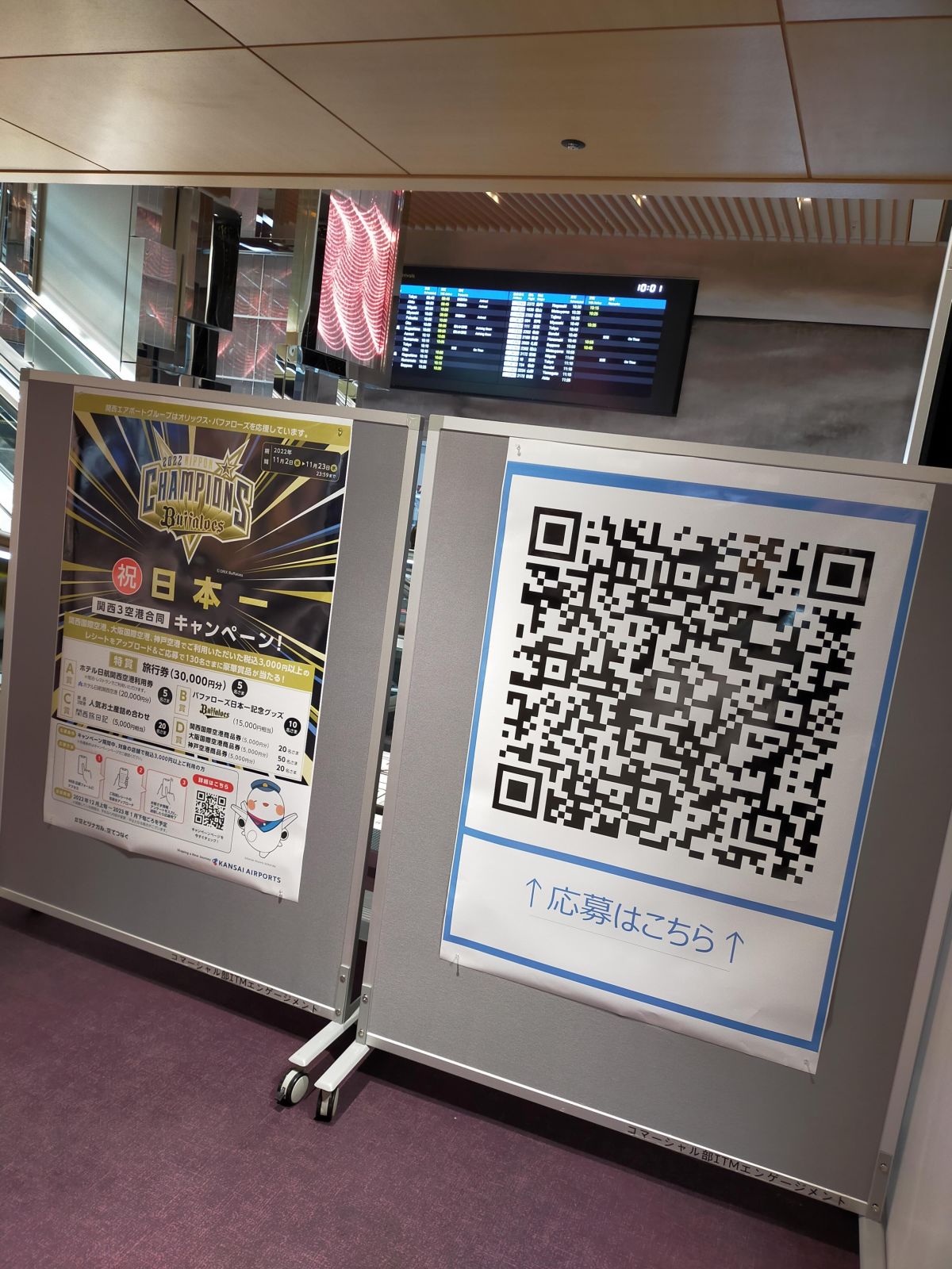 応募QRコード