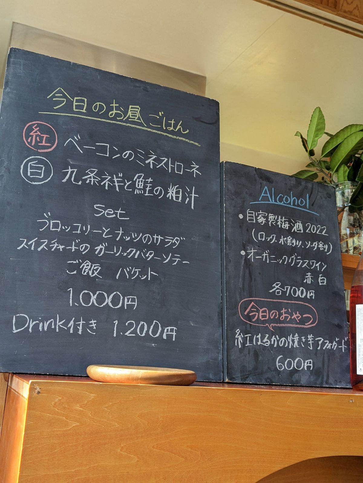本日のメニュー