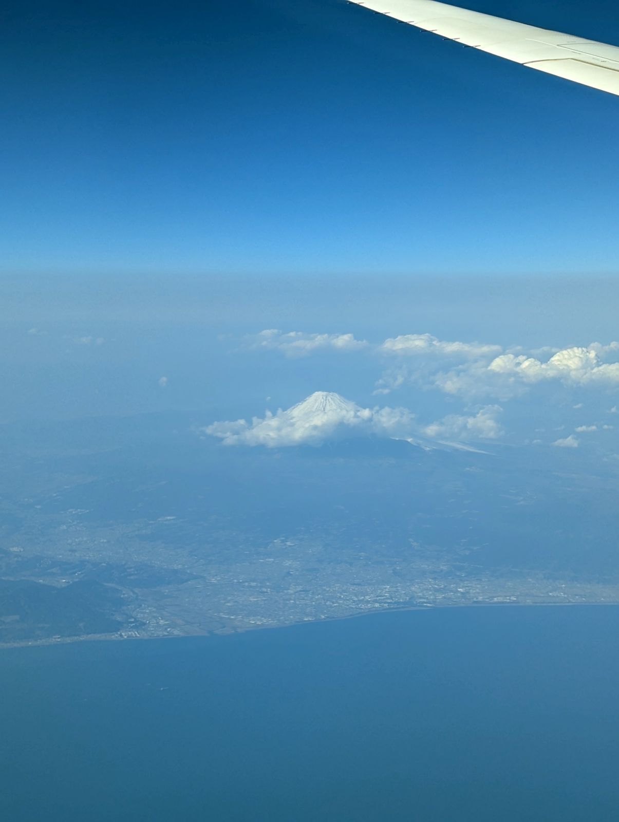 本日の富士山