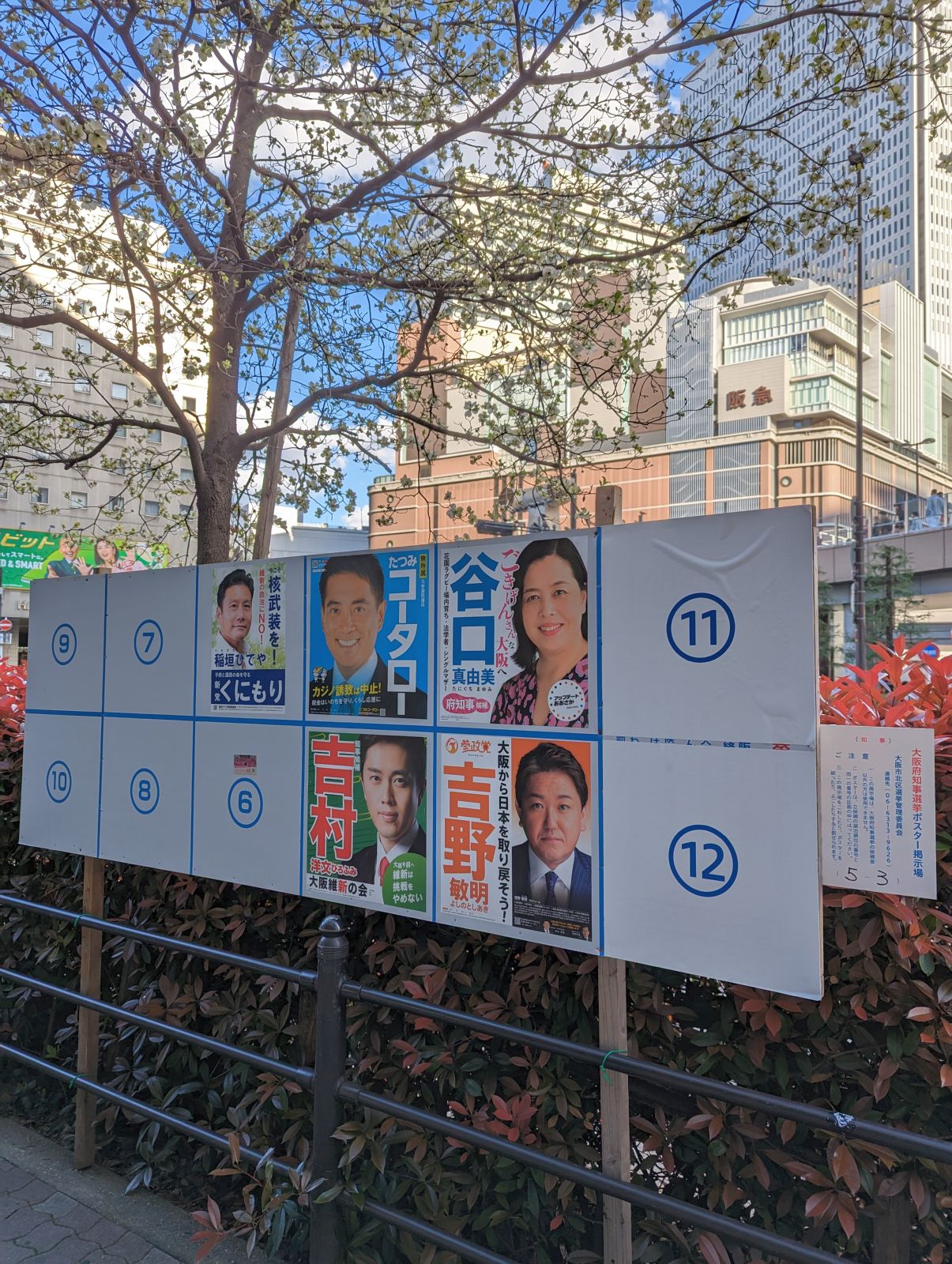 大阪府知事選挙ポスター掲示板