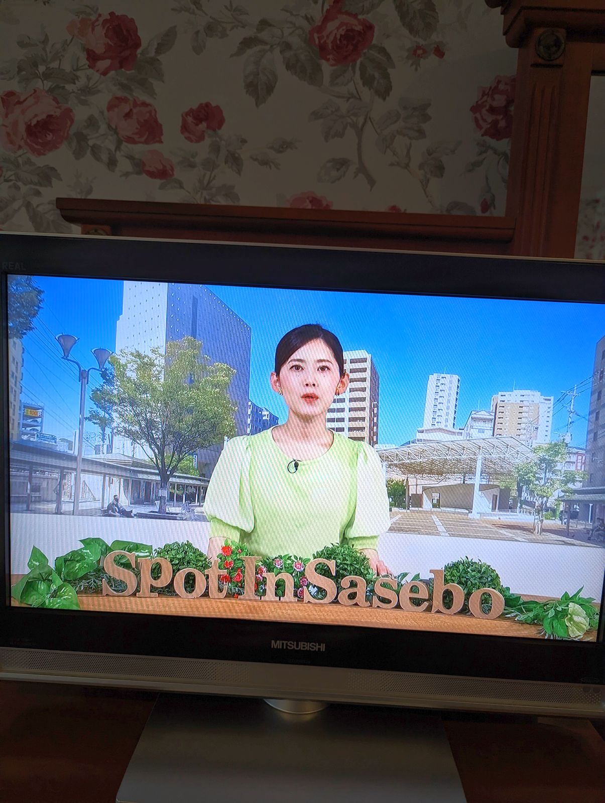 スポット イン サセボ
