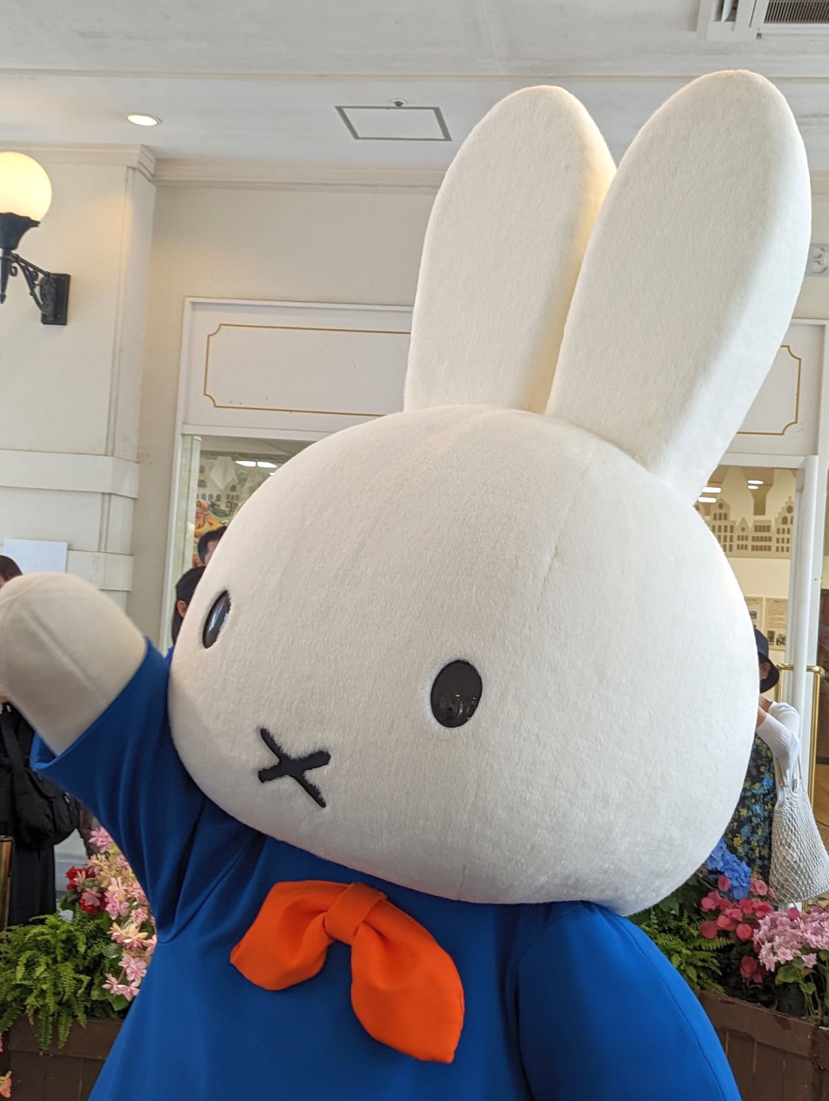やー