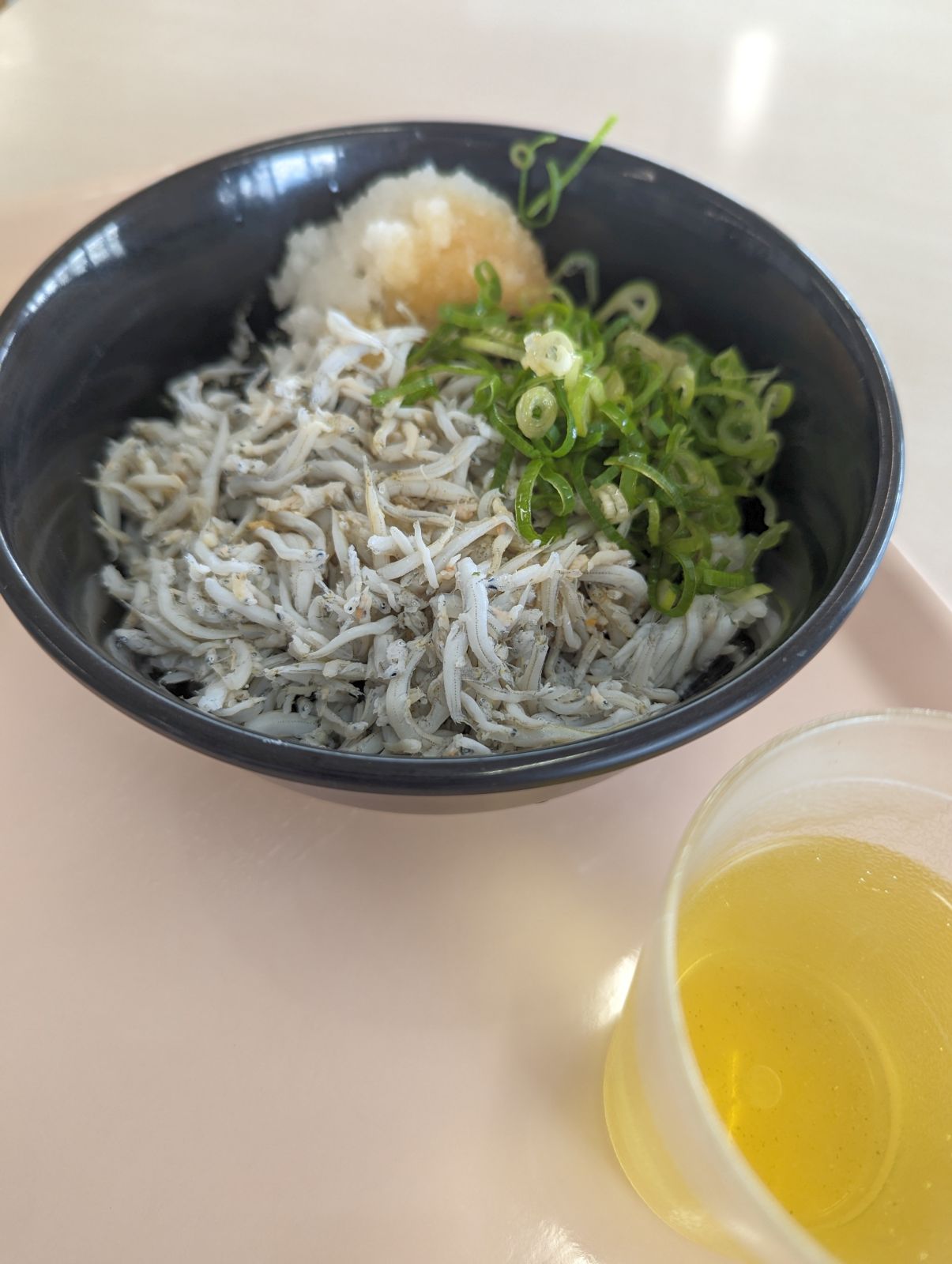 本日の昼食