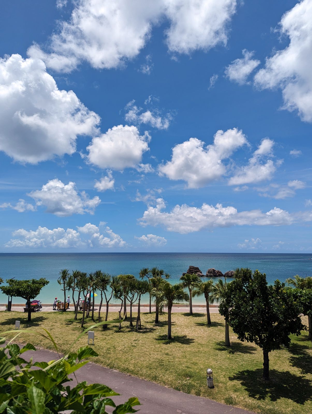 公園からの風景