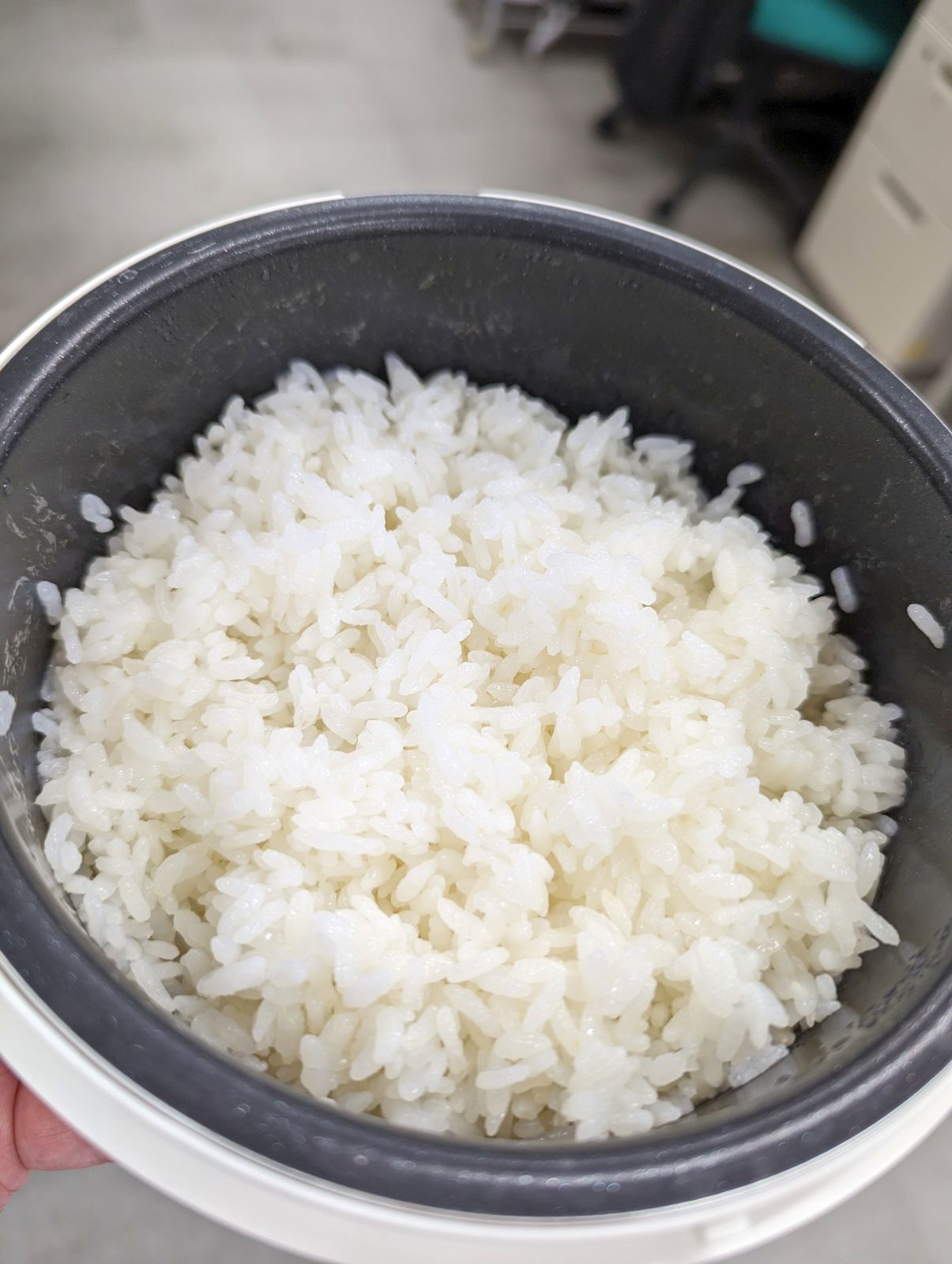 本日の昼食