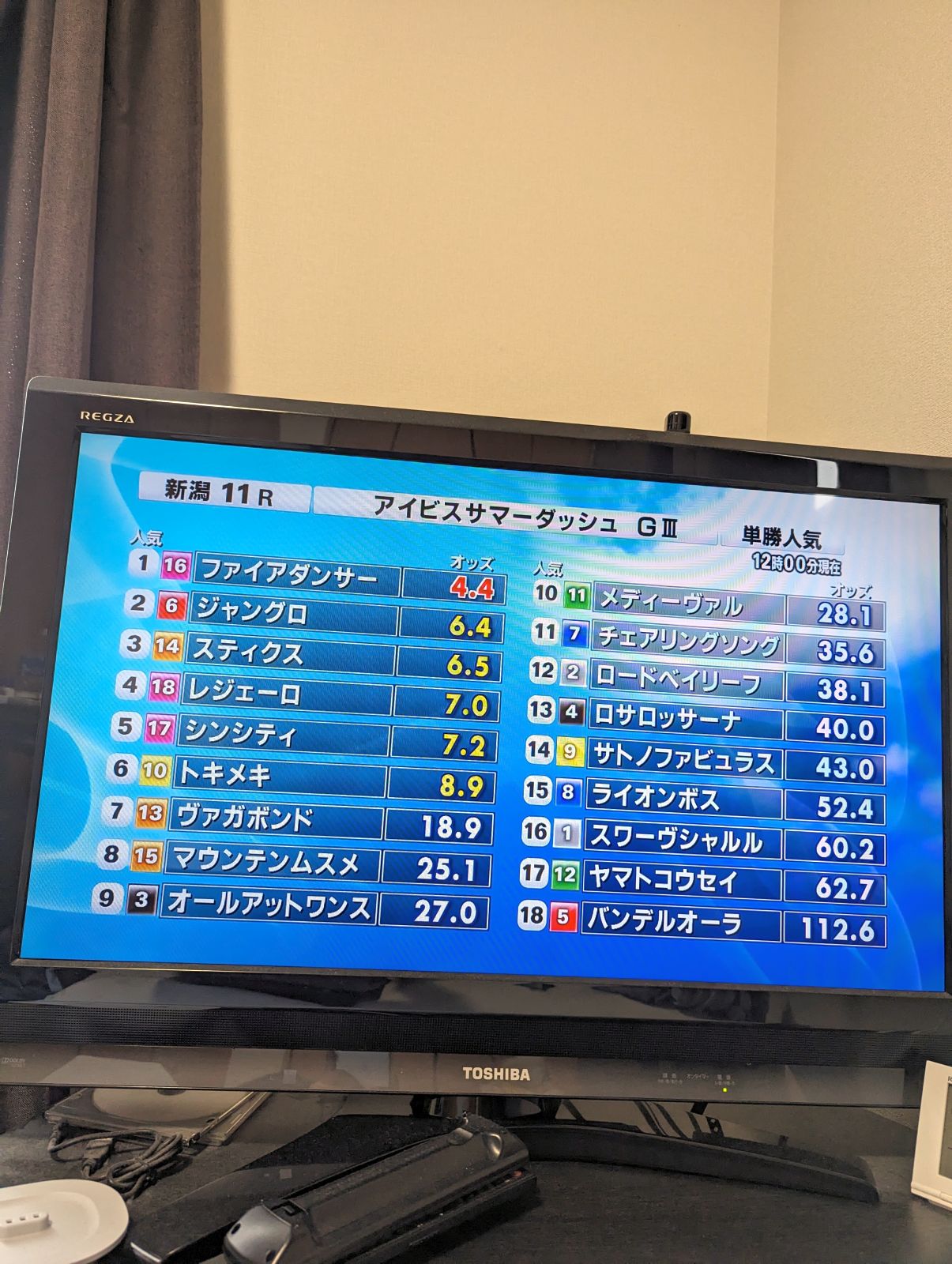 アイビスサマーダッシュ
