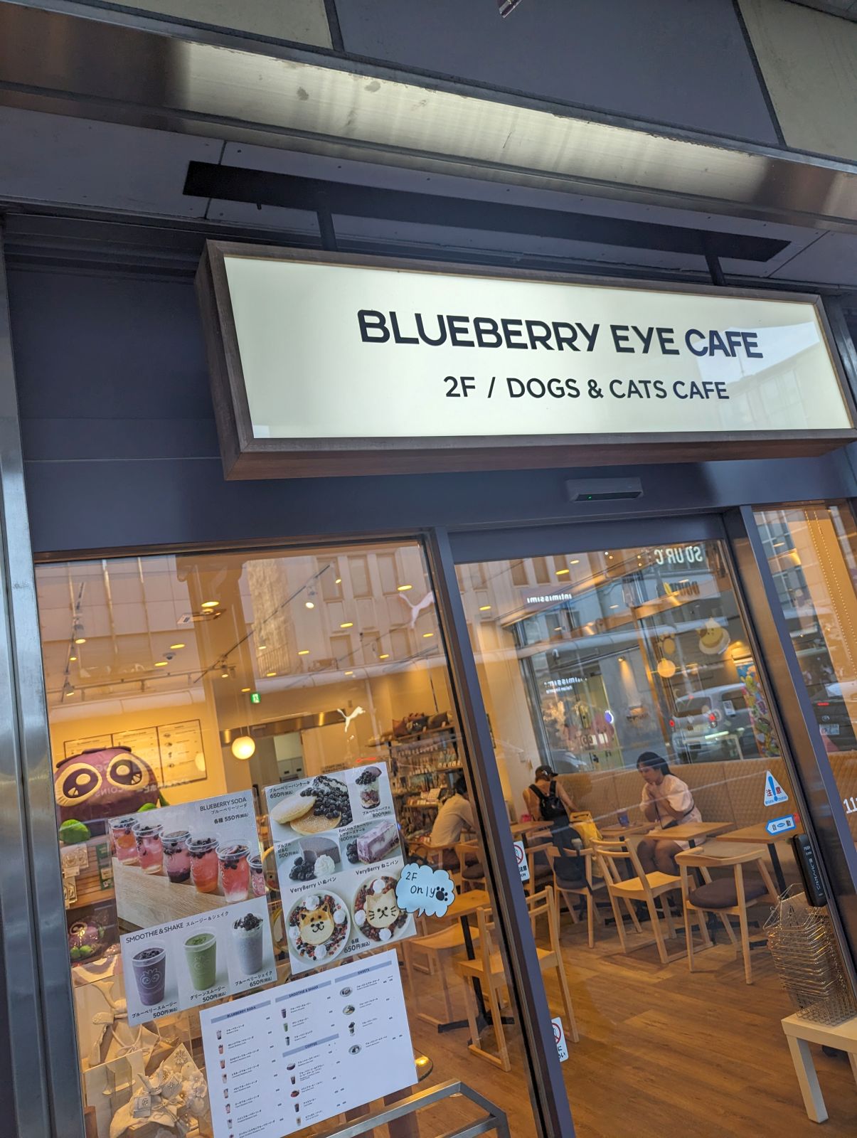 BLUEBERRY EYE CAFE