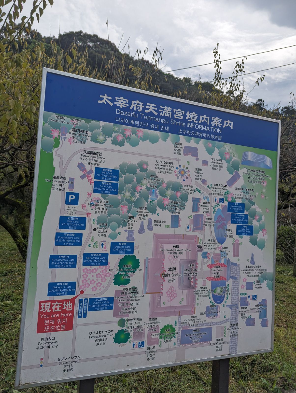 別ルート