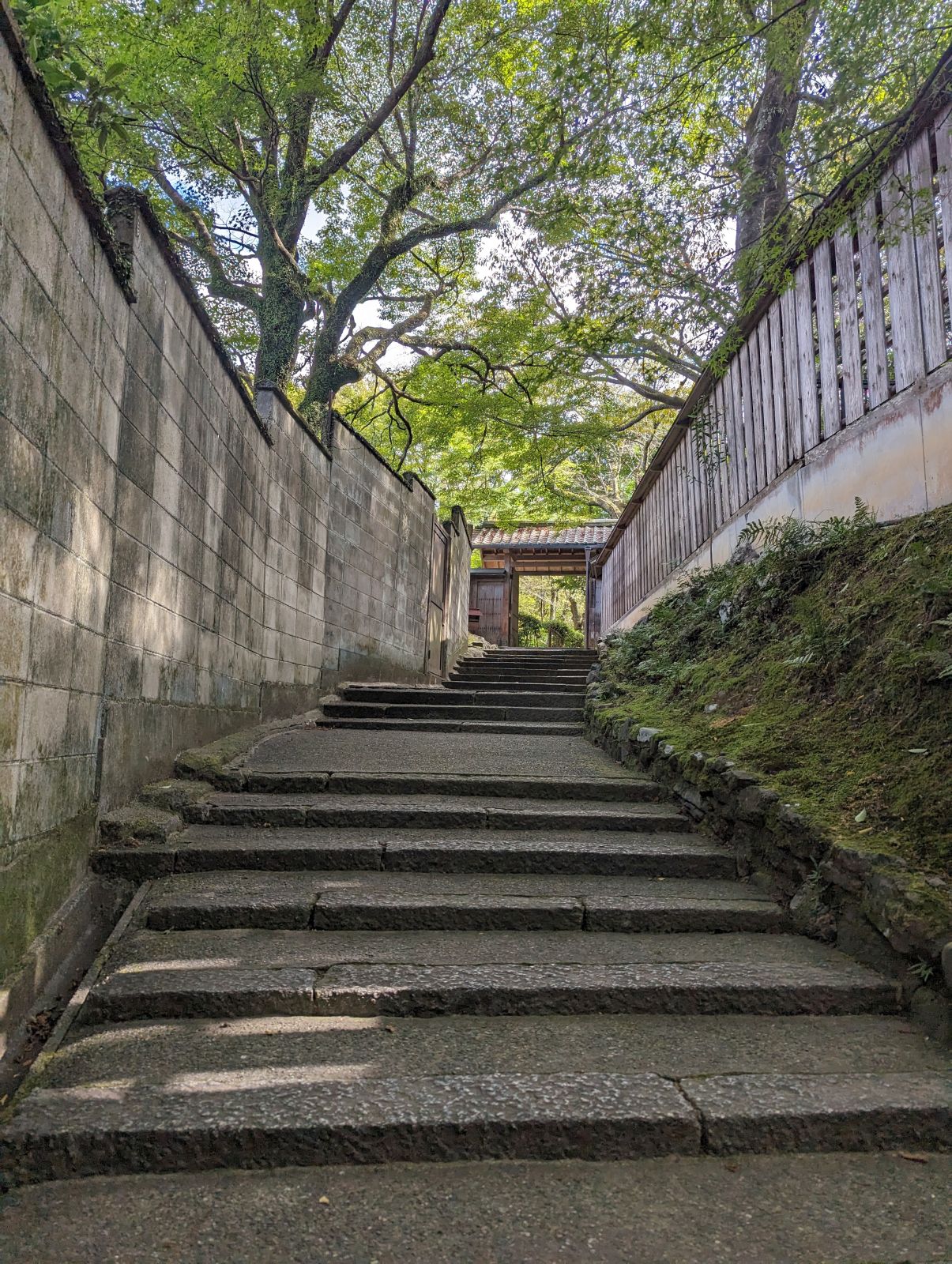 電電宮