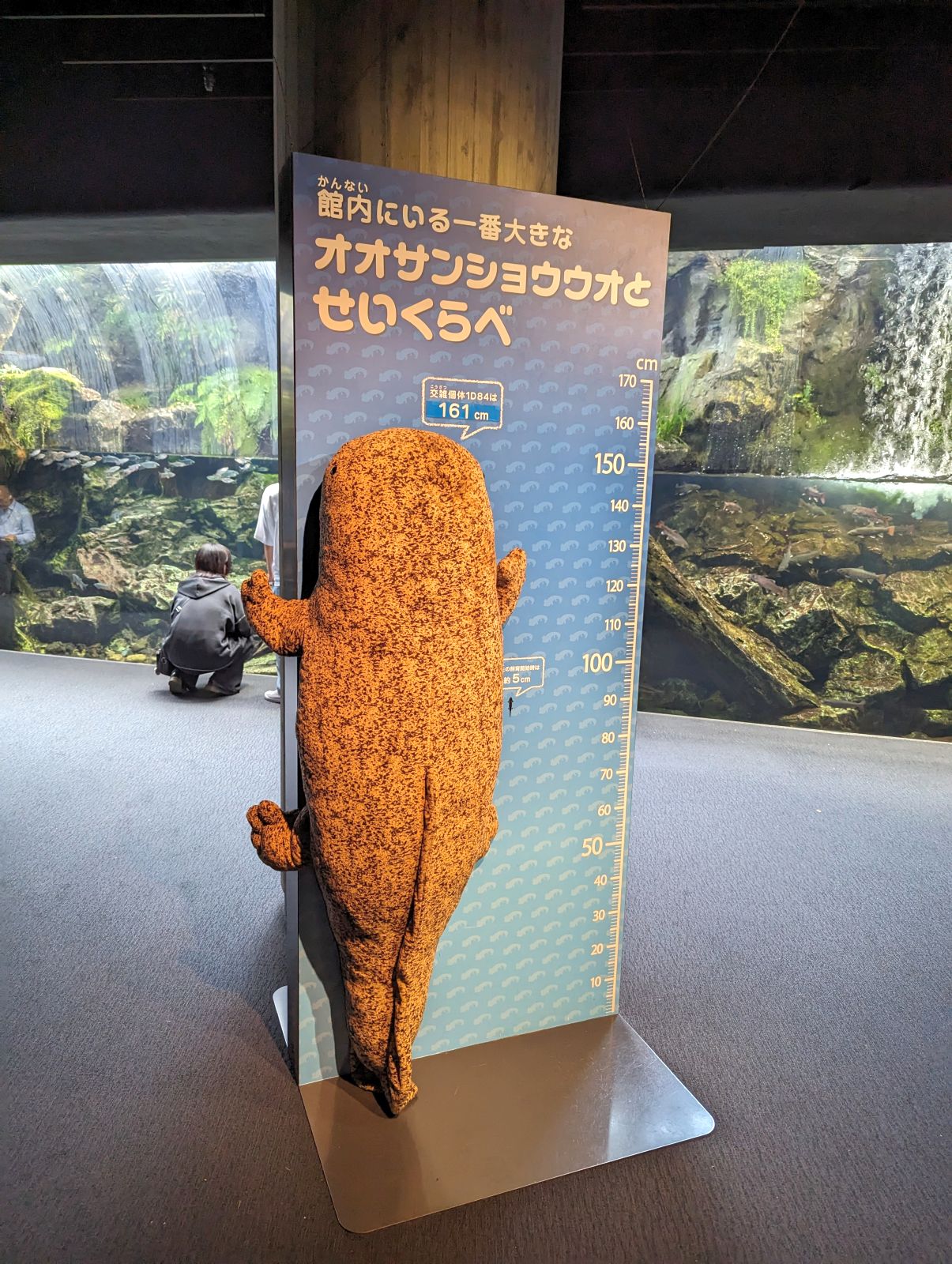 オオサンショウウオの大きさ