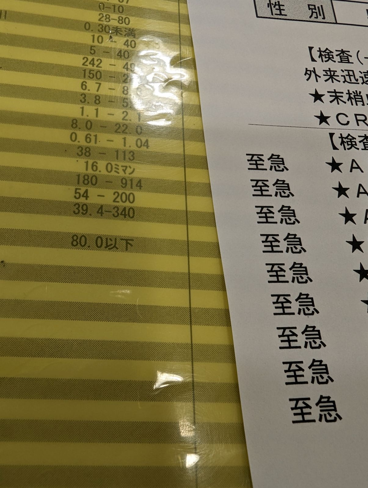 検査項目