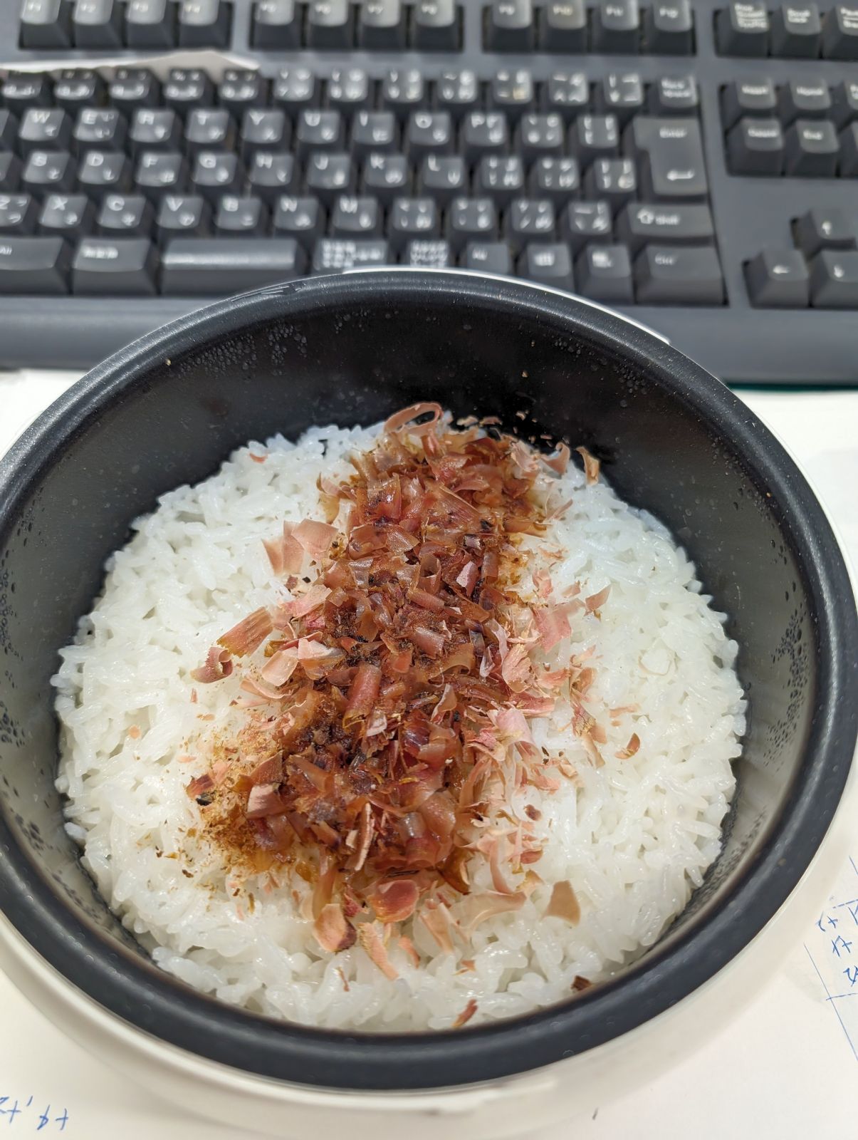 本日の昼食