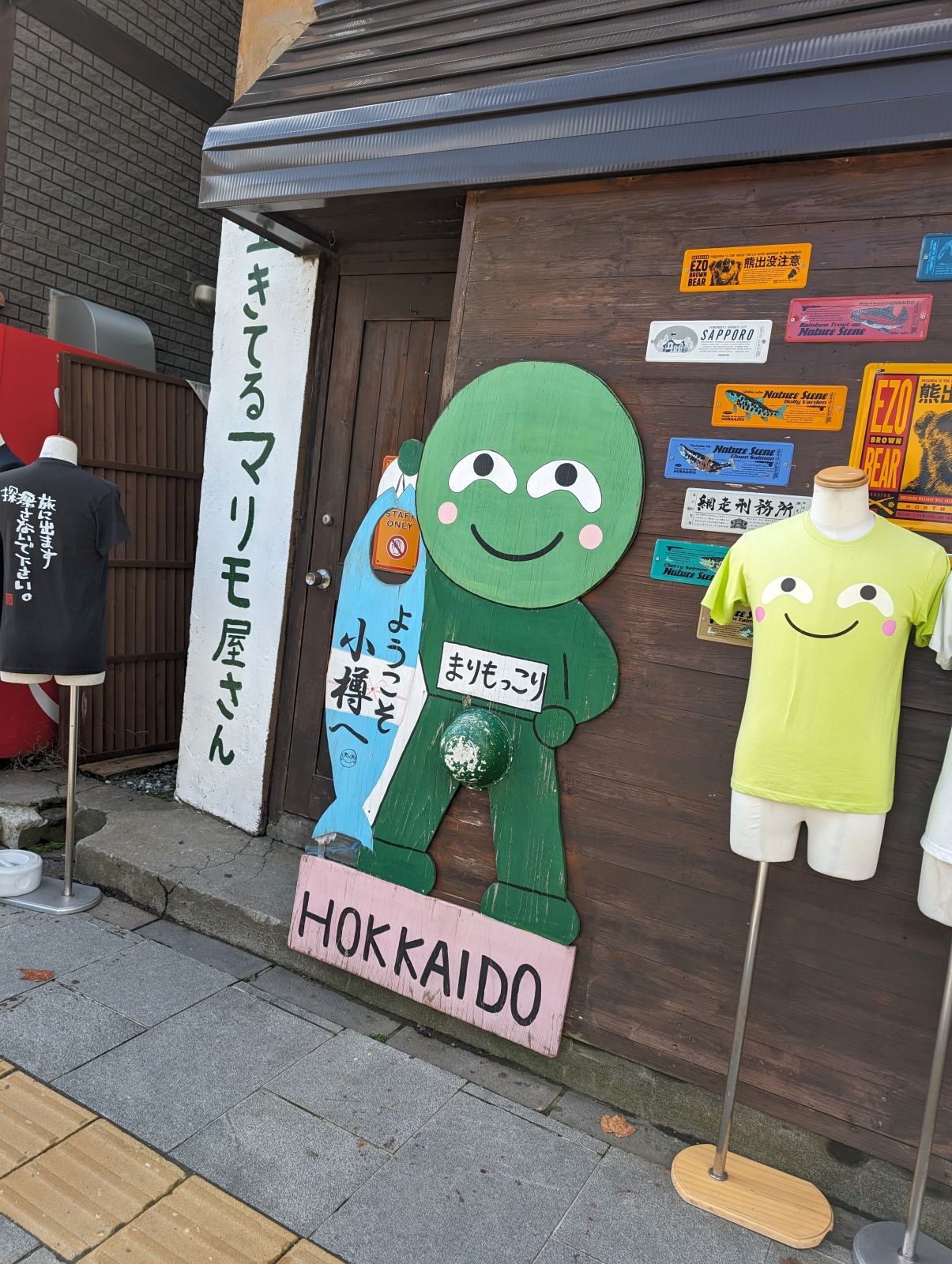 まりもっこり